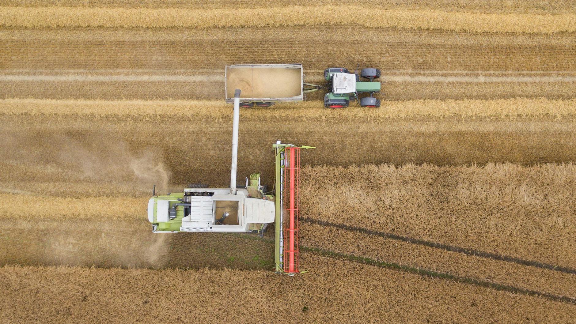 An vielen Orten Deutschlands wurde die Getreideernte ein Wettlauf mit dem nächsten Regen.
