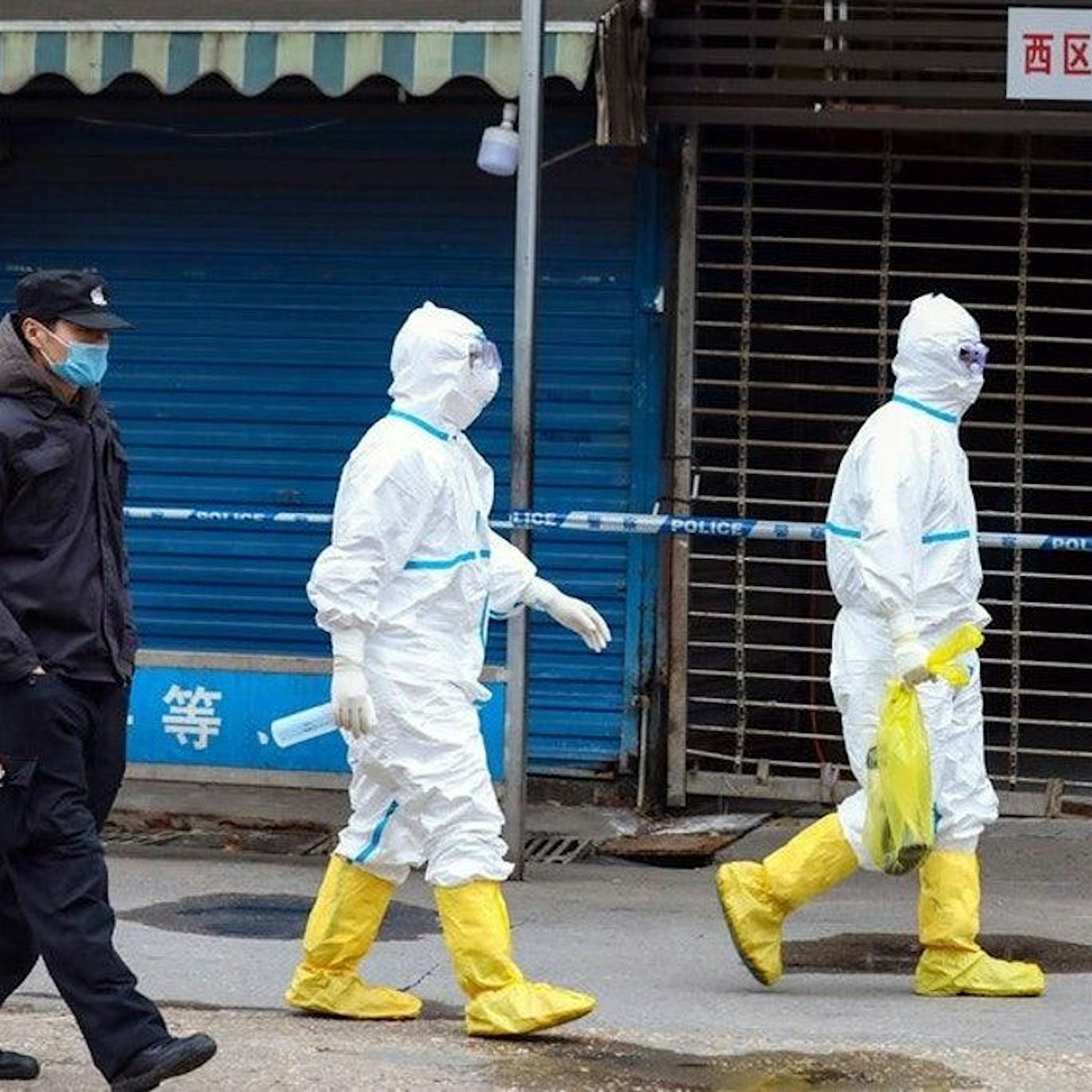 Experten machen Druck: Weitere Studien zum Corona-Ursprung nötig