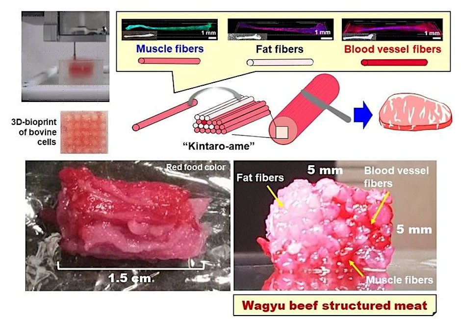 Darstellung der Produktion eines Stücks Wagyu-Rindfleisch mithilfe des 3D-Druckers (Ausschnitt)