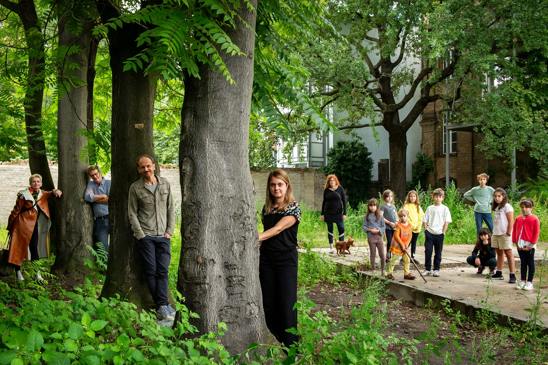 Die alte Eiche in Mitte soll einer Tiefgarage weichen.