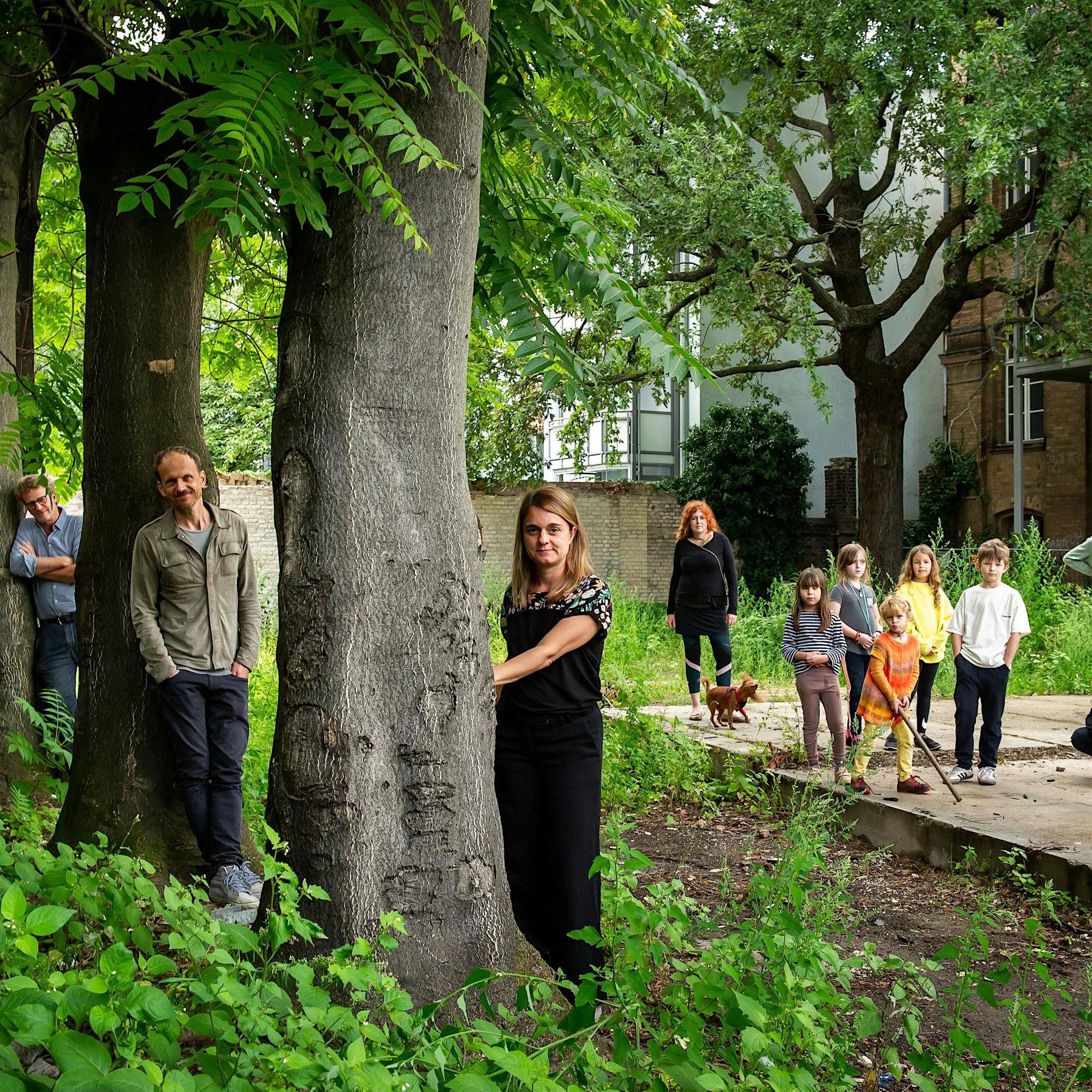 „Ich werde für ein Haus mit Tiefgarage gefällt, doch Berlin braucht Bäume“