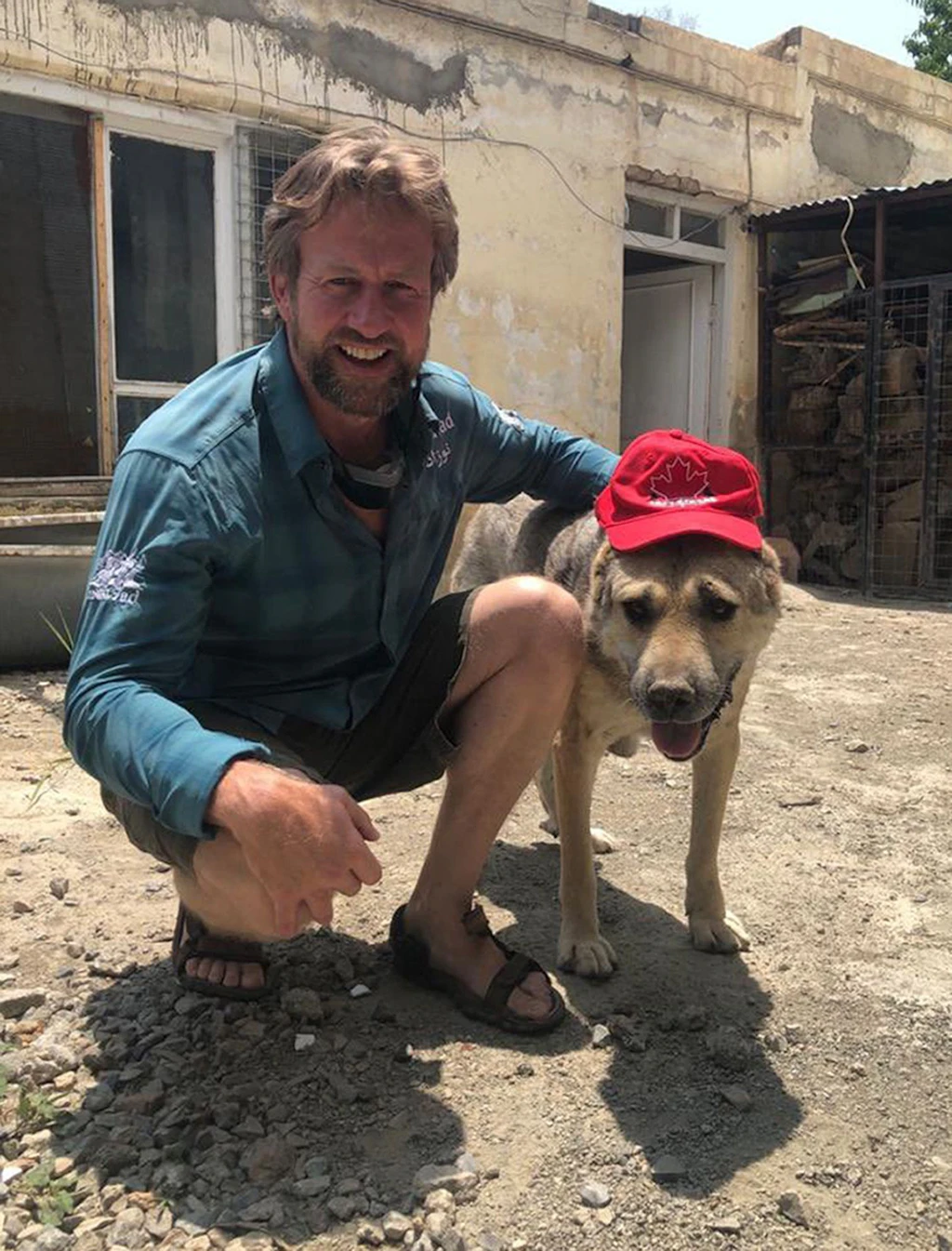 Brite rettet fast 180 Tiere aus Kabul, Mitarbeiter bleiben zurück
