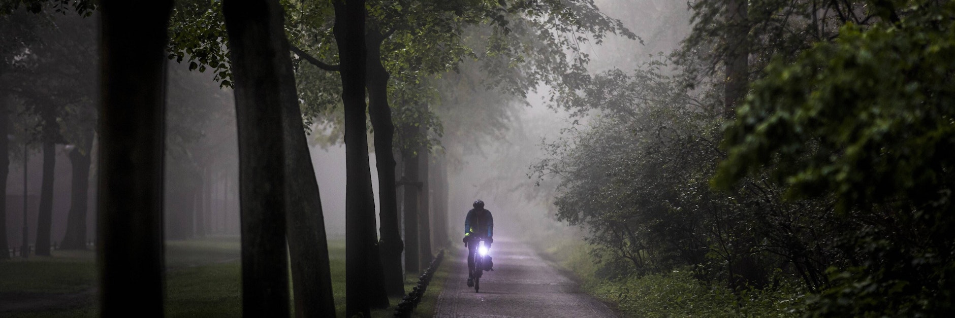 Das Wetter bietet Aussichten wie im Horror-Film: Nebel, Dunst und Schmuddelwetter erwarten uns in den kommenden Tagen.