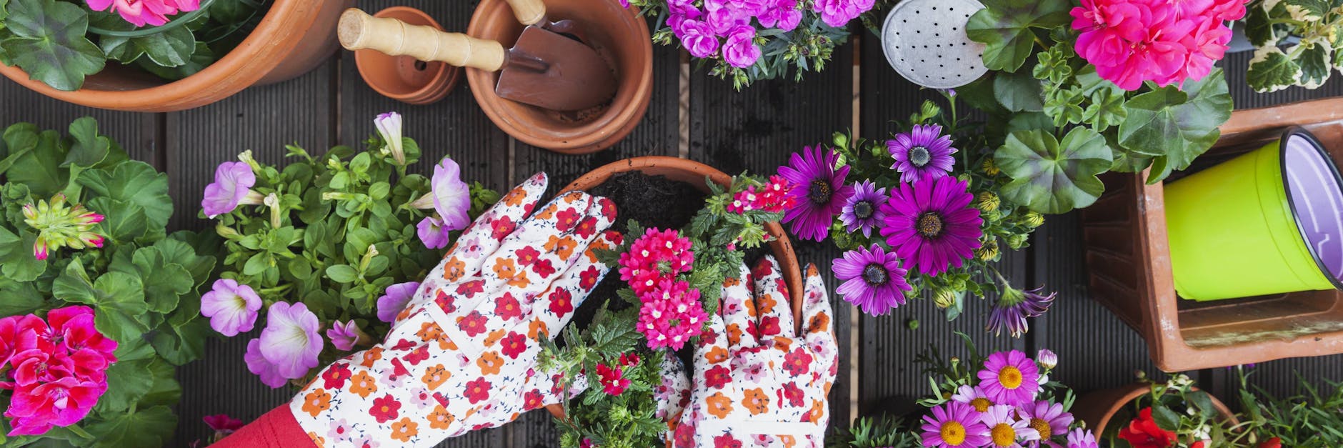 Blumenerde wird meist in großen Packungen verkauft, fast immer bleibt am Ende des Sommers ein Rest übrig.