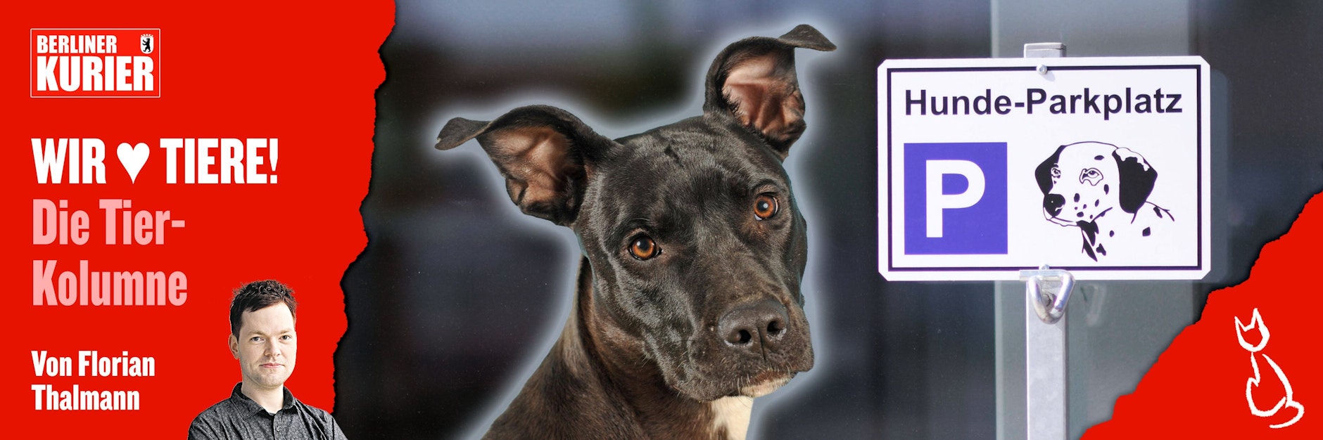 Tierschützer warnen momentan vor Hundediebstählen vor Berliner Supermärkten.