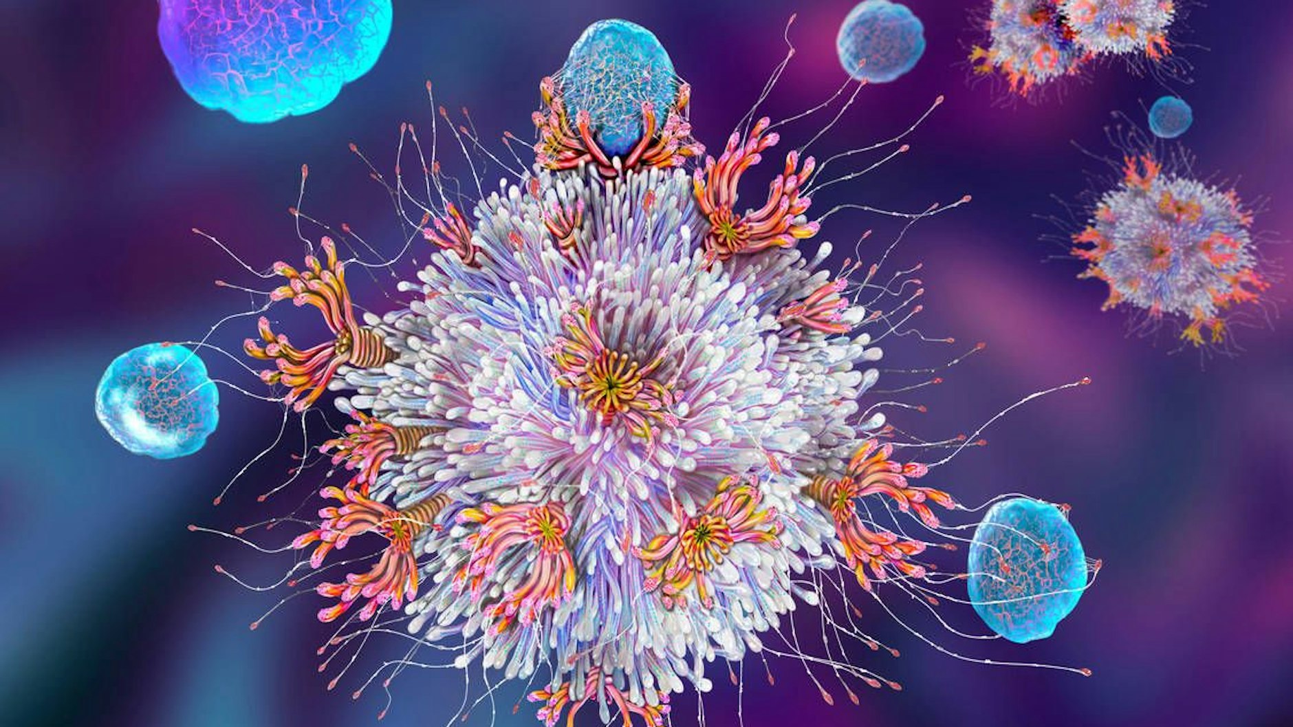 T-Zellen greifen eines der vielen Viren an, die den Körper ständig heimsuchen. Bei der Abwehr von Sars-CoV-2 liegt eine Hoffnung auf&nbsp;„kreuzreagierenden“ T-Zellen, die bereits Erfahrung mit anderen Coronaviren gemacht haben.