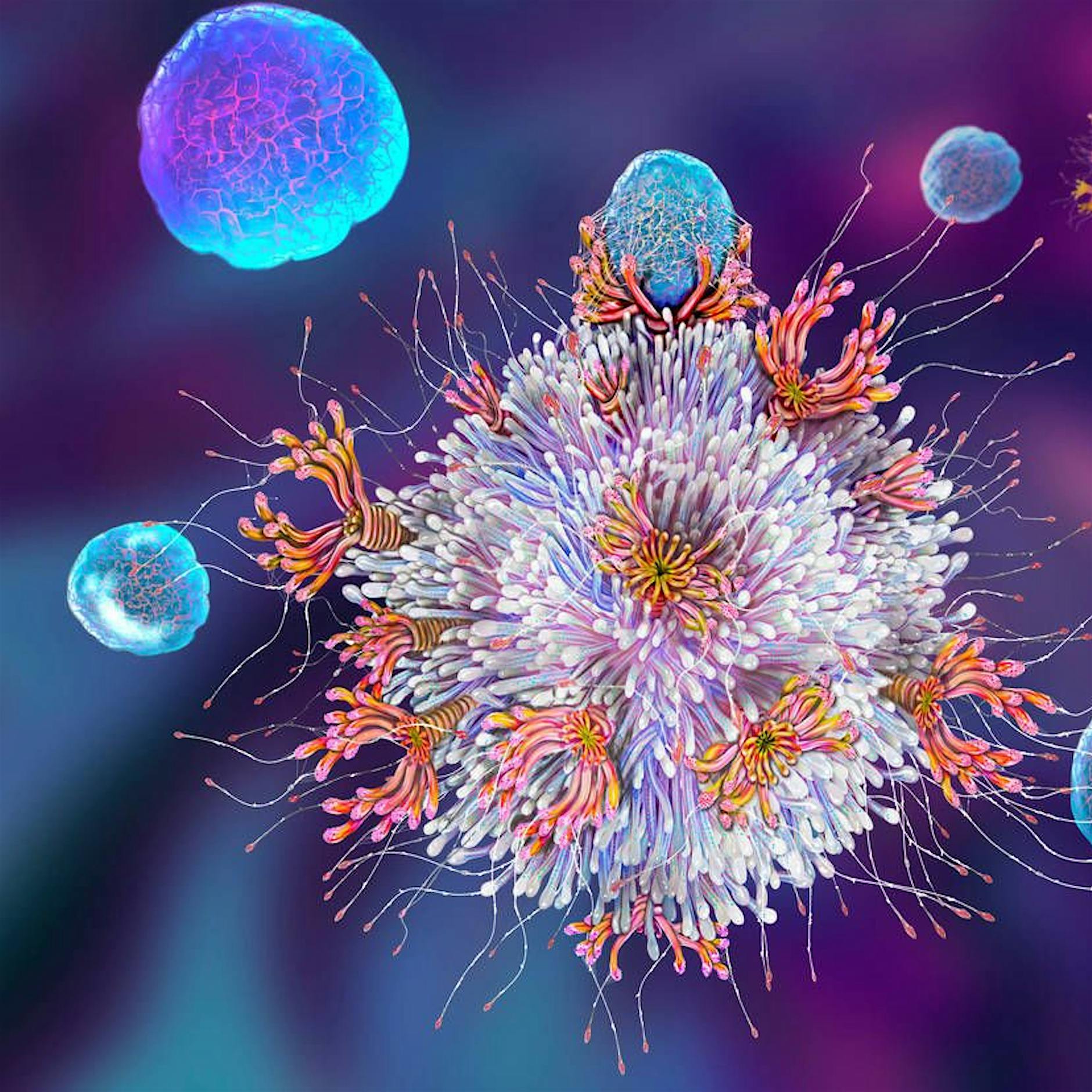 Charité-Studie: Frühere Erkältungen stärken die Immunreaktion gegen Corona