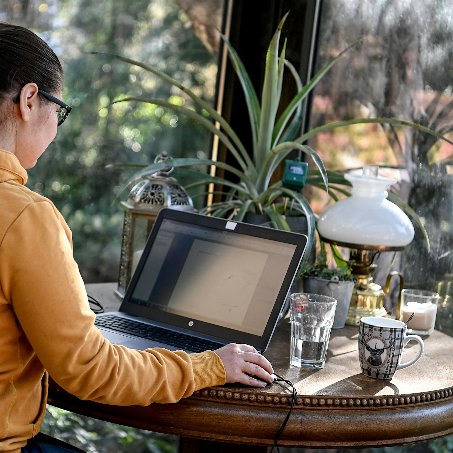 Homeoffice für immer? Die Tücken des Landlebens