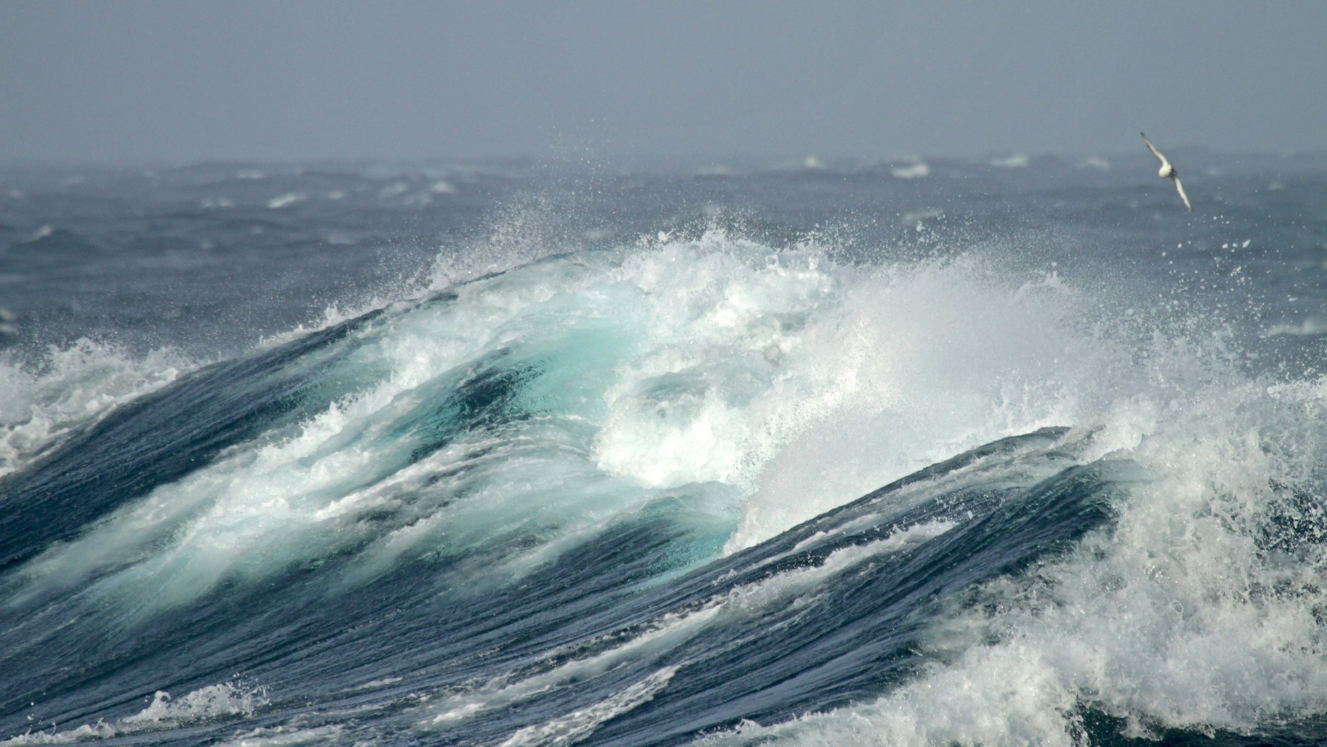 Das Meer sei in der Nacht von einem Sturm und starken Wellengang sehr aufgewühlt gewesen.&nbsp;Zwei junge Frauen kamen nicht mehr zurück an Land (Symbolbild).