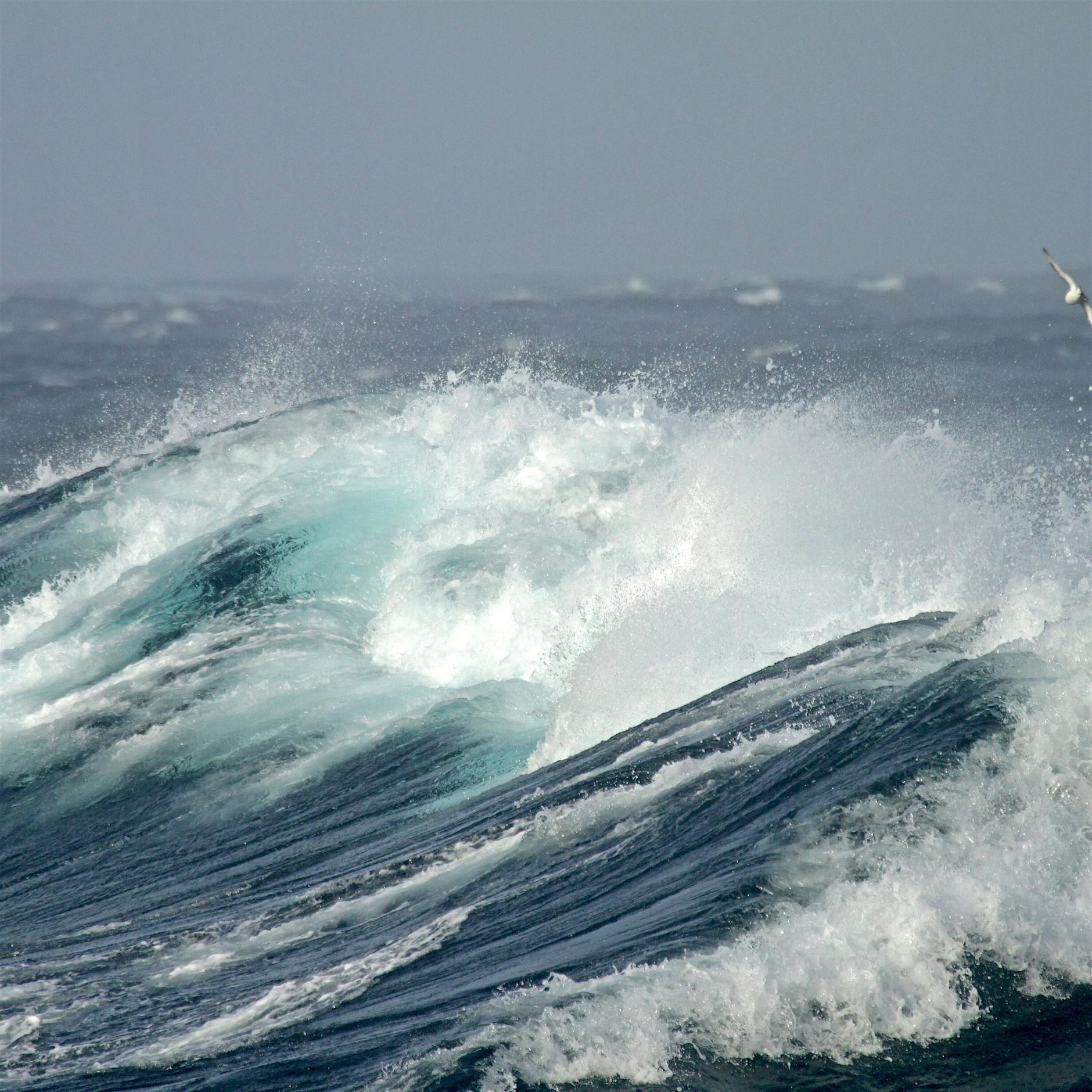 Zwei deutsche Urlauberinnen vor Mallorca ertrunken