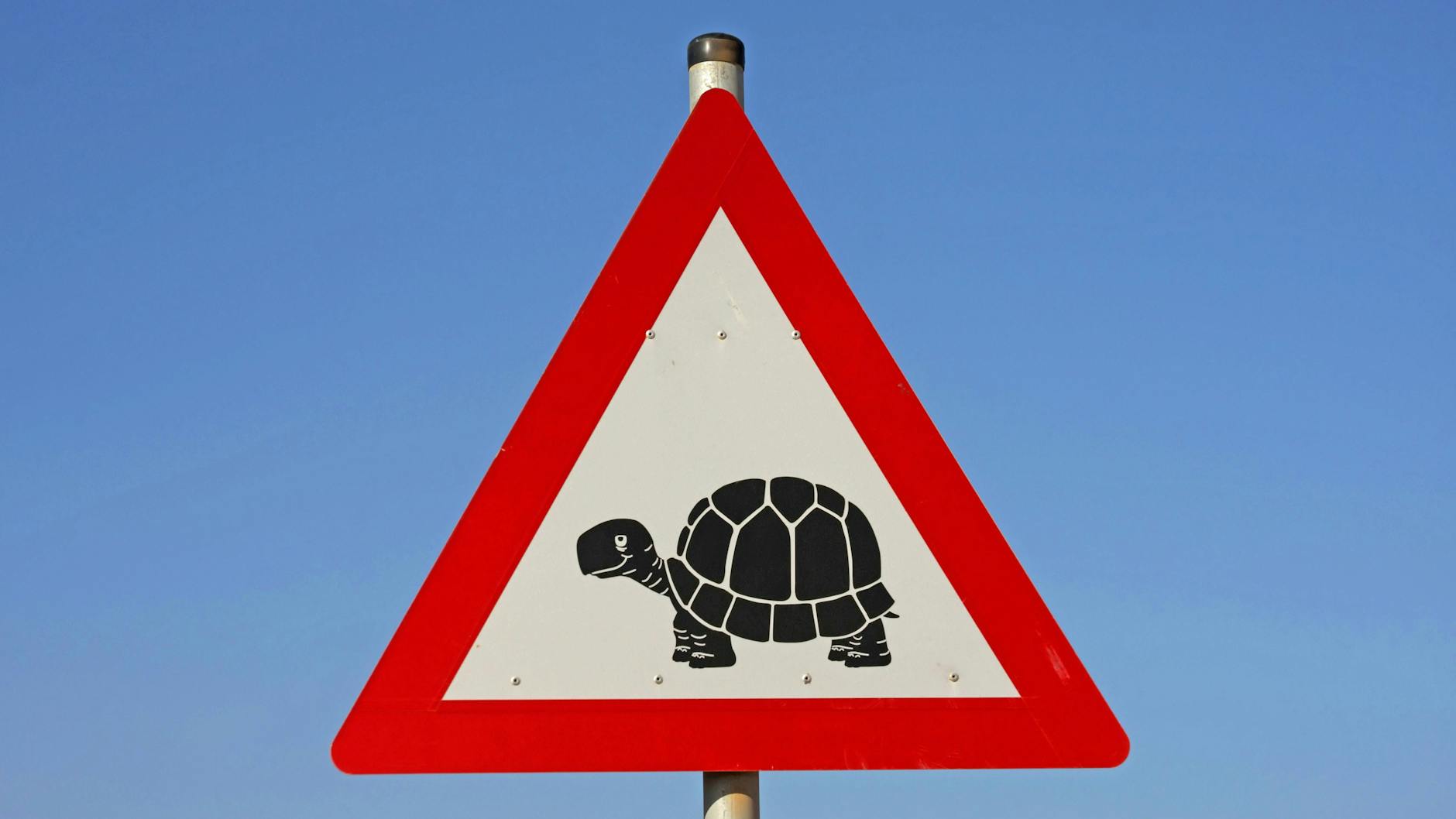 Berliner Tempo – das war einmal. Für dieselbe Strecke braucht man mit Bussen und Bahnen fast doppelt so lange wie mit dem Auto. Das ergibt eine Untersuchung des Mobility Institute Berlin.