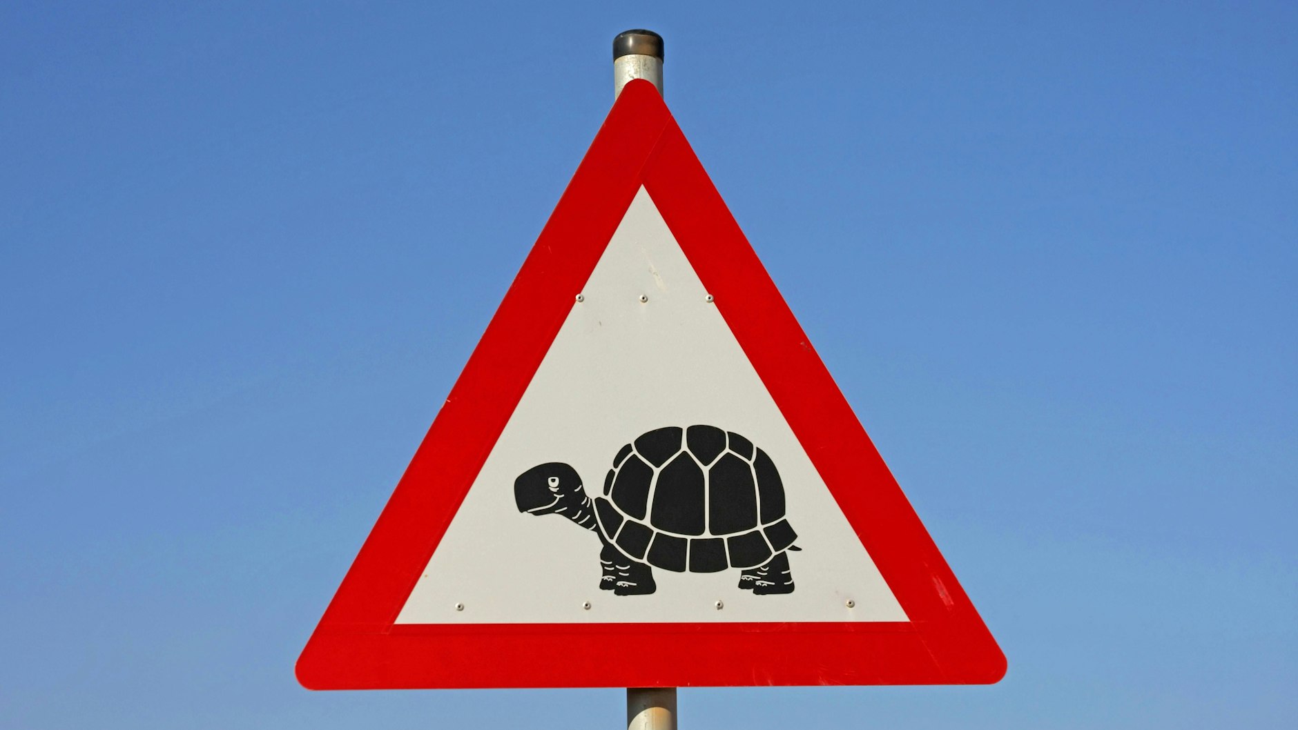 Berliner Tempo – das war einmal. Für dieselbe Strecke braucht man mit Bussen und Bahnen fast doppelt so lange wie mit dem Auto. Das ergibt eine Untersuchung des Mobility Institute Berlin.