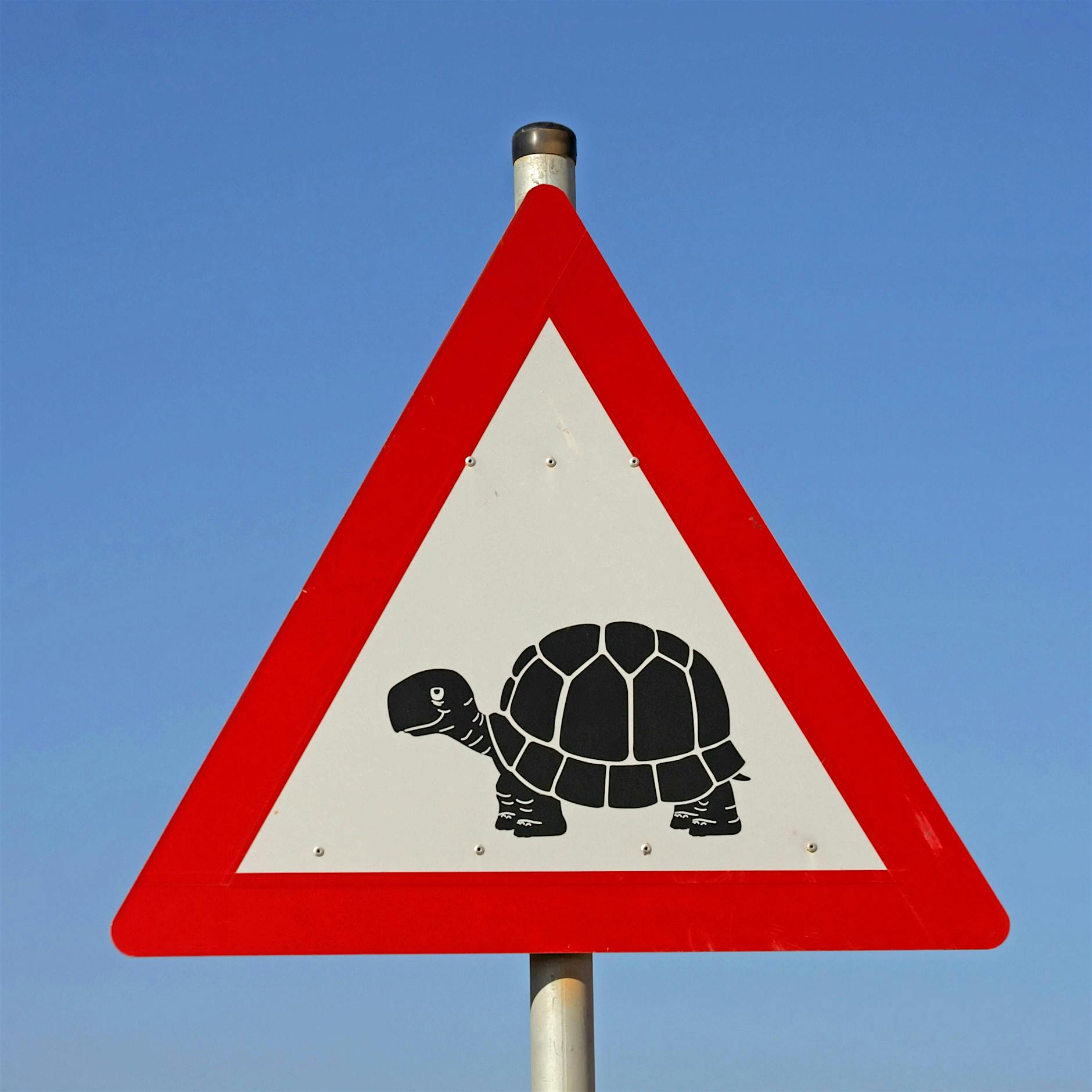 In Berlin braucht der Nahverkehr fast doppelt so lange wie das Auto