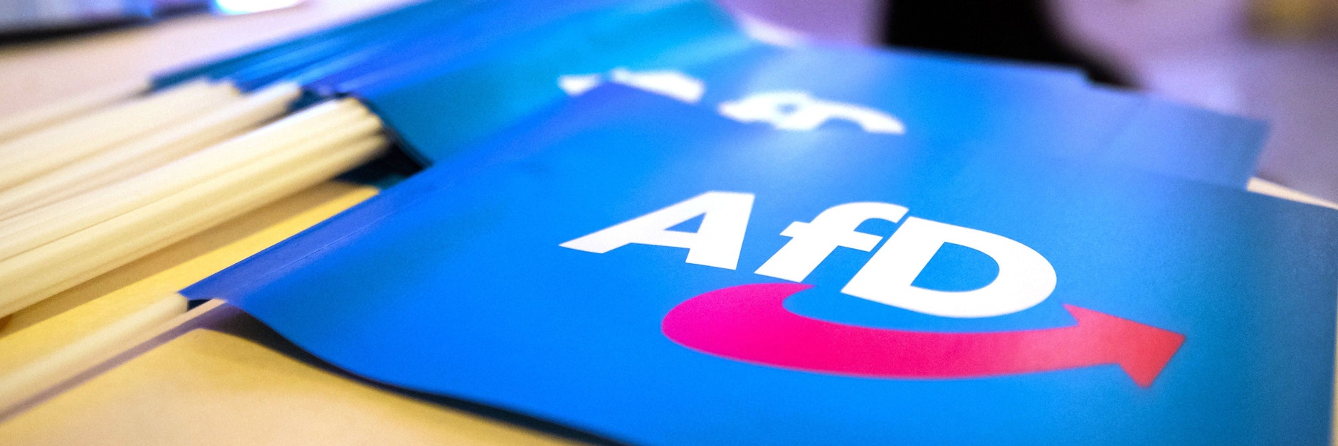 Die Brandenburger AfD wird schon länger vom Verfassungsschutz als rechtsextremistischer Verdachtsfall eingestuft.