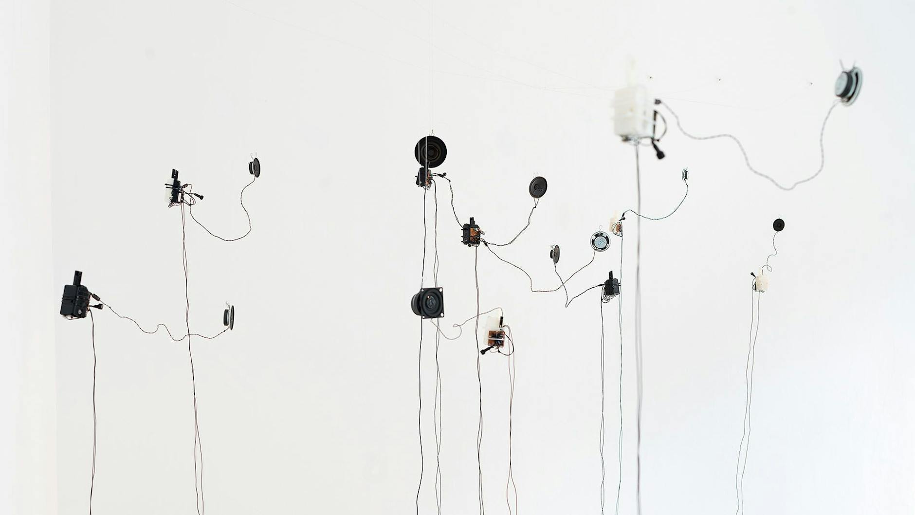 Das Projekt „Whispers“ von Katrin Caspar und Eeva Liisa Puhakka.