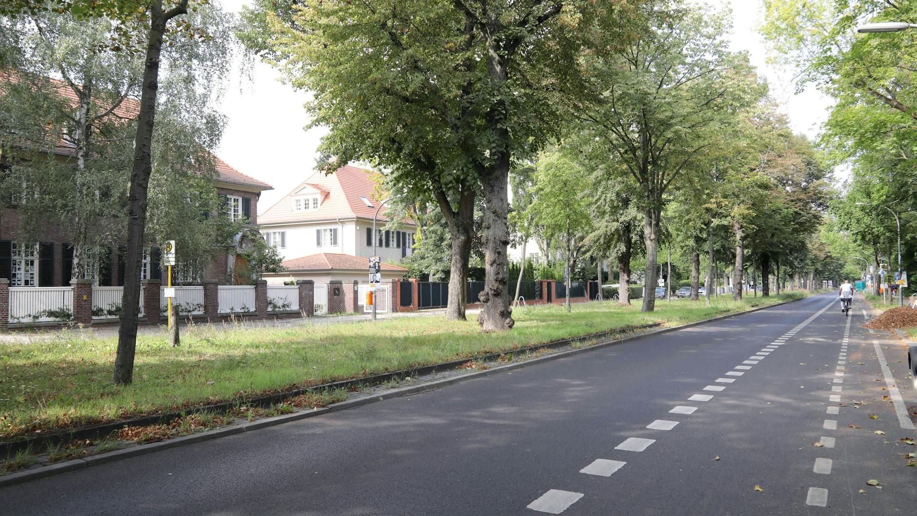 Die Pacelliallee in Dahlem.