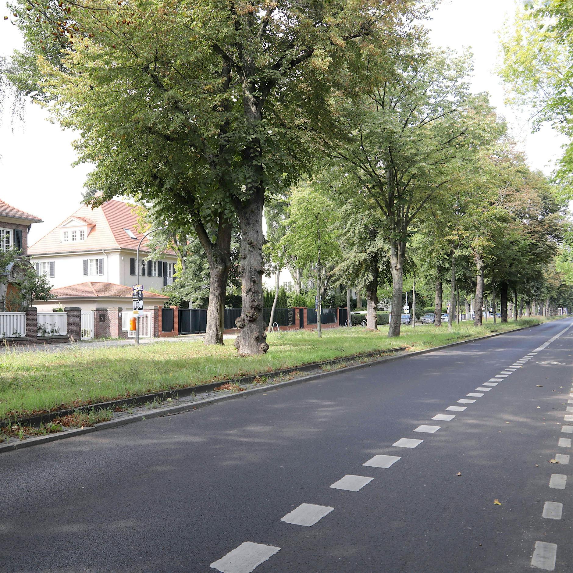 Pacelliallee in Dahlem wird Allee des Gedenkens