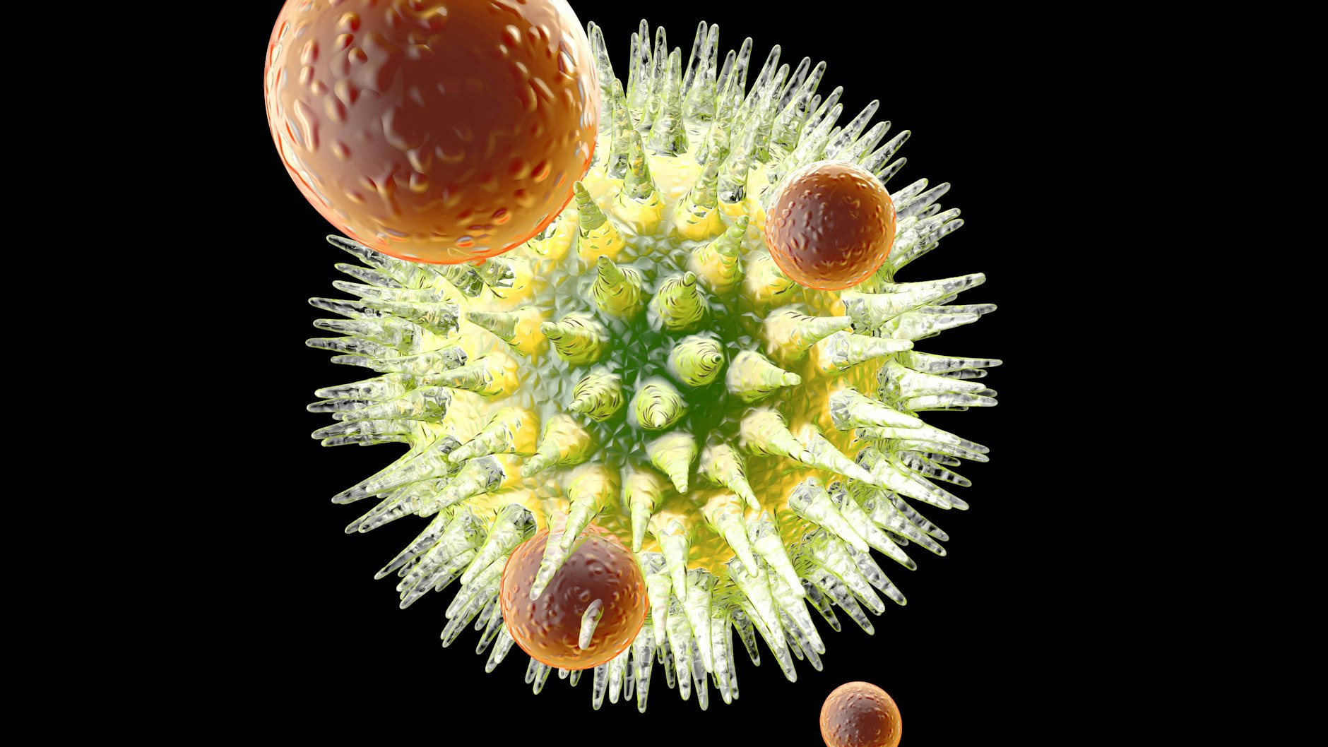Immunzellen erkennen das eindringende Virus. Sie spielen eine entscheidende Rolle in der langfristigen Immunabwehr.