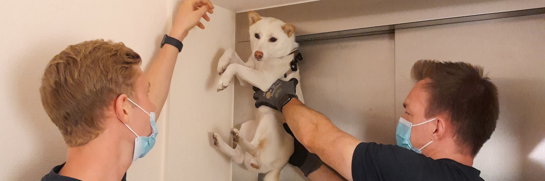 Zwei Feuerwehrmänner befreien an einer Aufzugstür in Bochum einen Hund aus einer misslichen Lage. Frauchen war ohne ihn losgefahren, hielt die Leine aber fest.