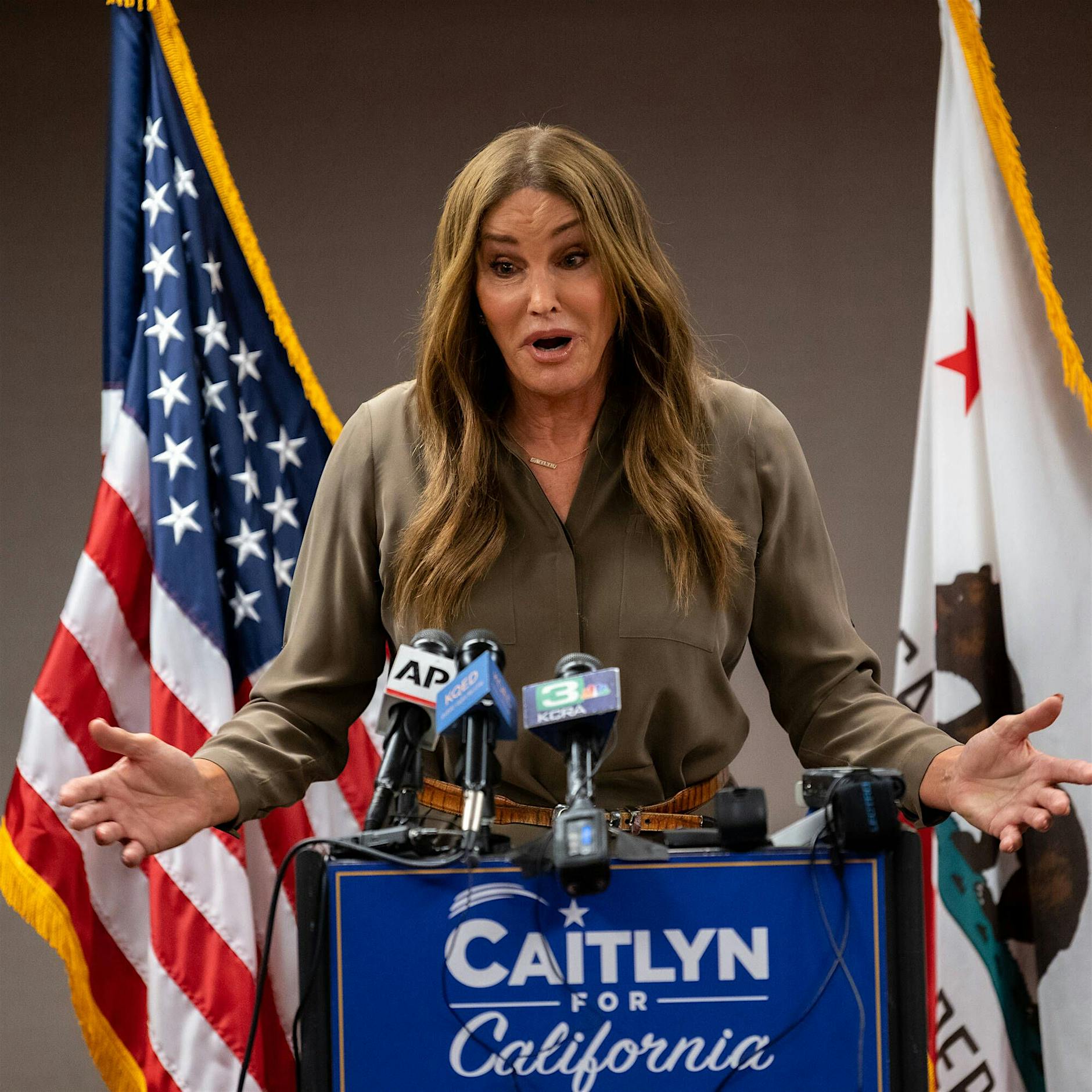 Manege frei: Wie Kaliforniens Politik zur Zirkusshow mutiert