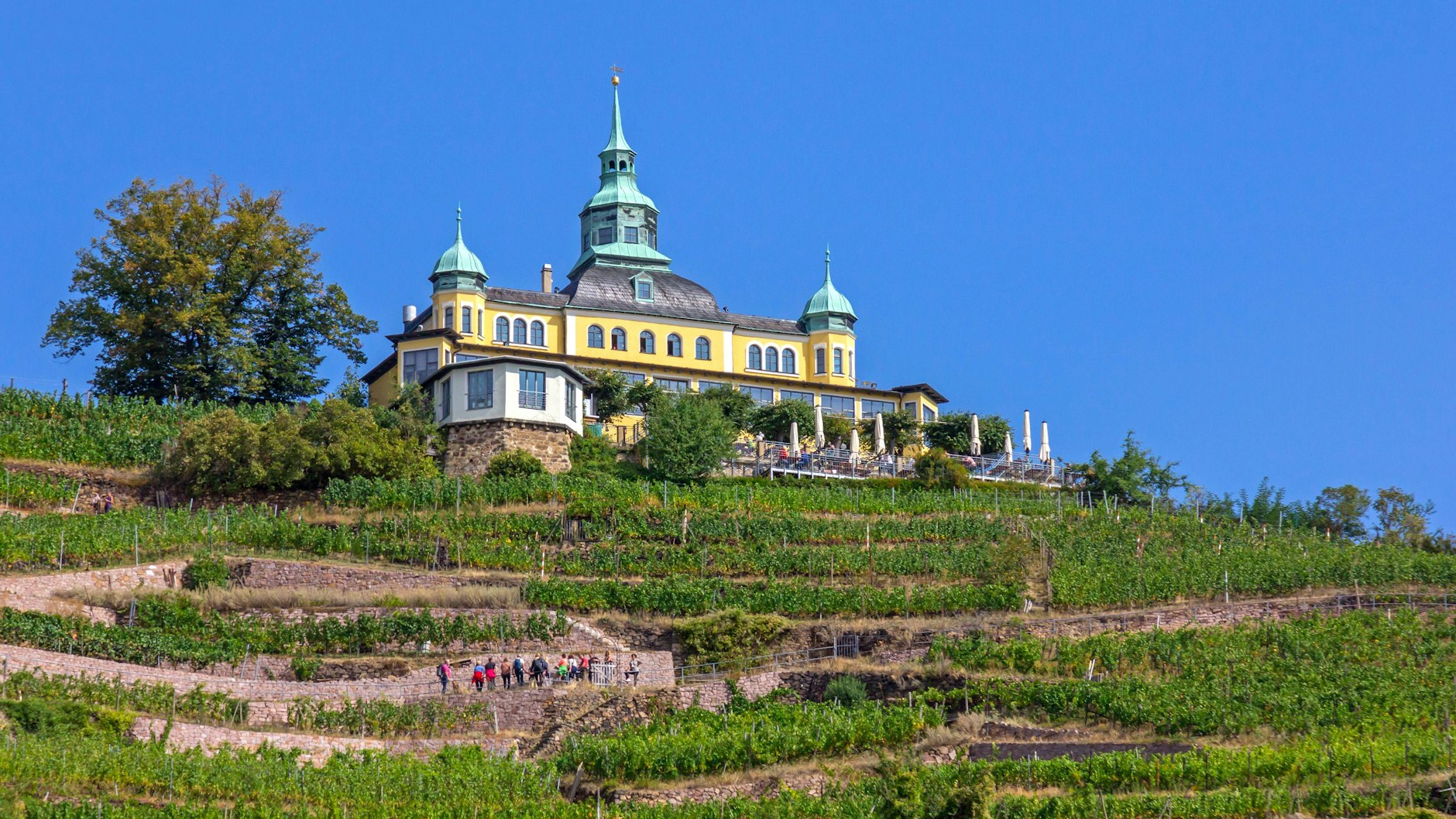 Hoch zum Spitzhaus über Radebeul führt eine Treppe, die es in sich hat. Regelmäßig trainieren hier die Läufer. Seit 2005 findet hier der Sächsische Mt. Everest Treppenmarathon statt. 