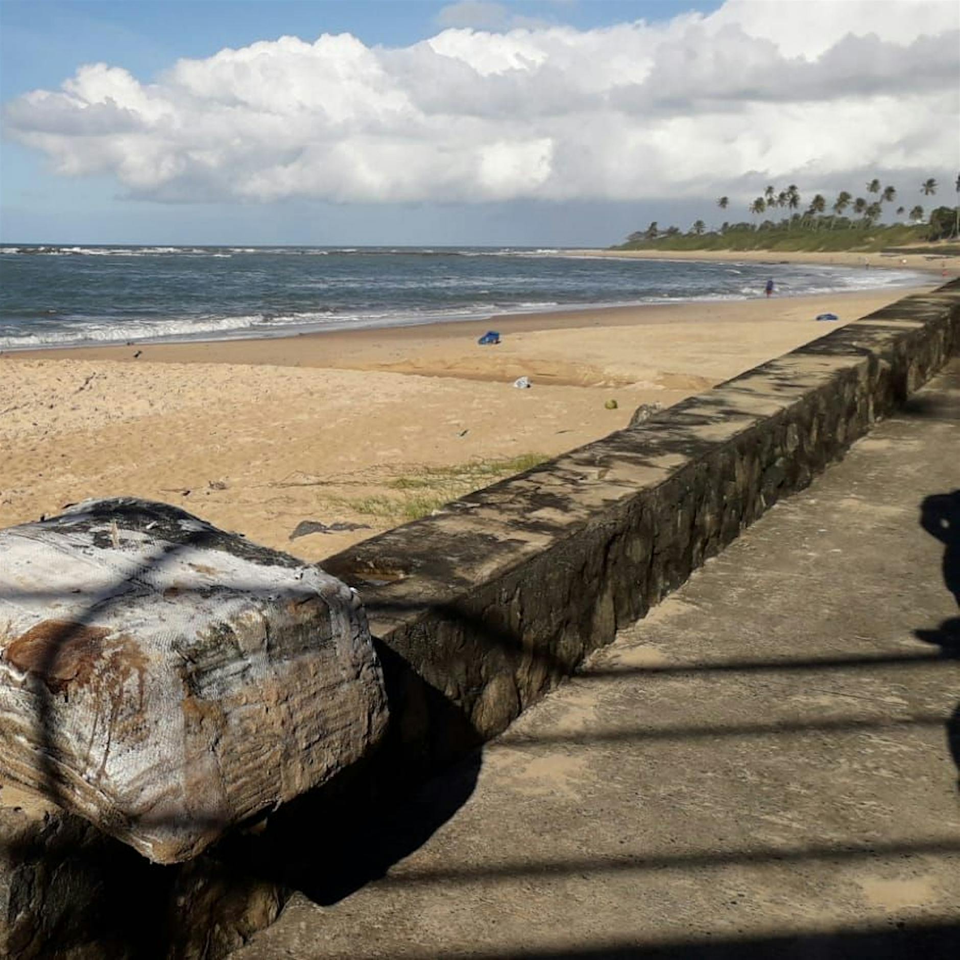 Schatzsuche in Brasilien: Die „mysteriösen Kisten“ und der Zweite Weltkrieg