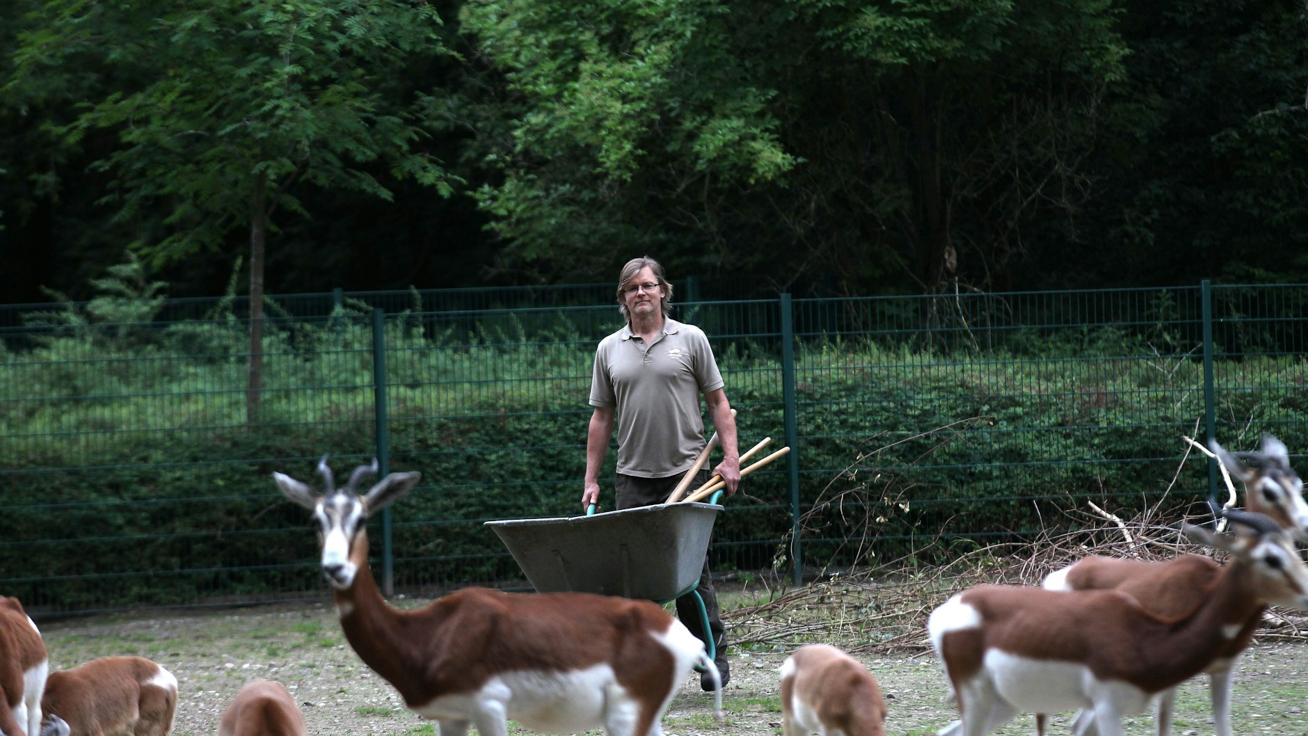 Tierpfleger&nbsp;Serjosha Hempel (57) kümmert sich um die eleganten Tiere.