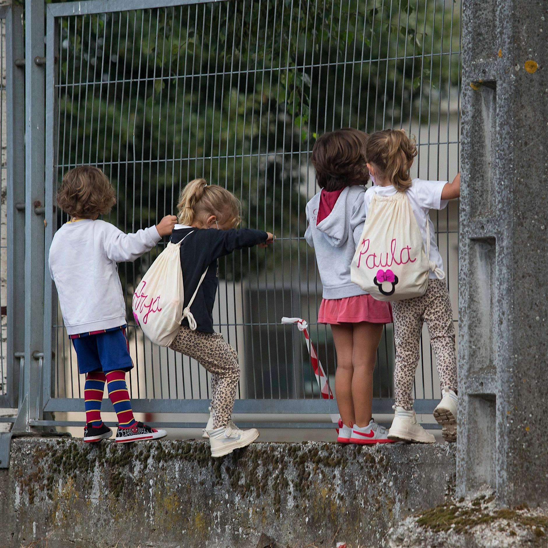 Senat schenkt Hunden und Autos wahrscheinlich mehr Aufmerksamkeit als Kindern