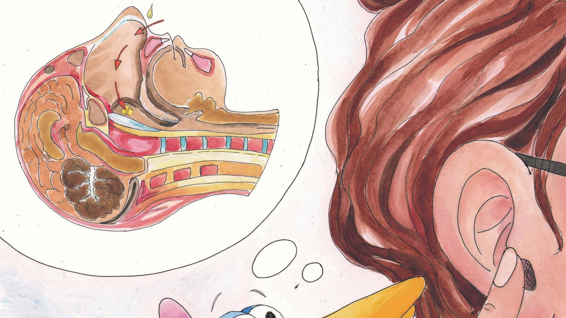 Die Illustration aus dem Buch* von Dr. Sibylle Mottl-Link zeigt, wo der Tragus ist (rechts im Bild). Oben links ist dargestellt, weshalb das Kind liegen sollte, wenn Sie Nasentropfen geben: Sie fließen so Richtung Gehörgang.