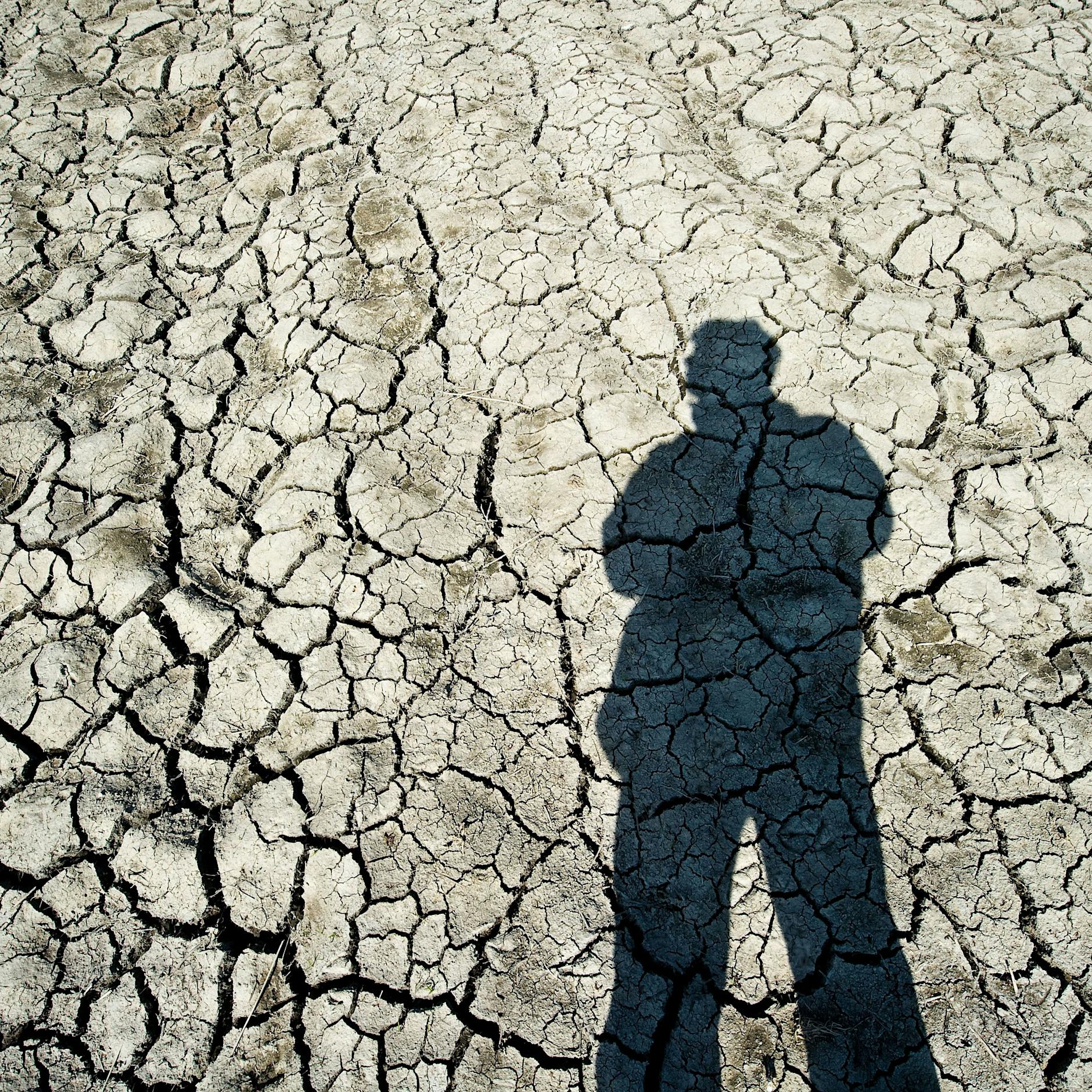 Wegen der Klimakrise: Bis 2050 werden mehr als 200 Millionen Menschen ihr Zuhause verlieren!