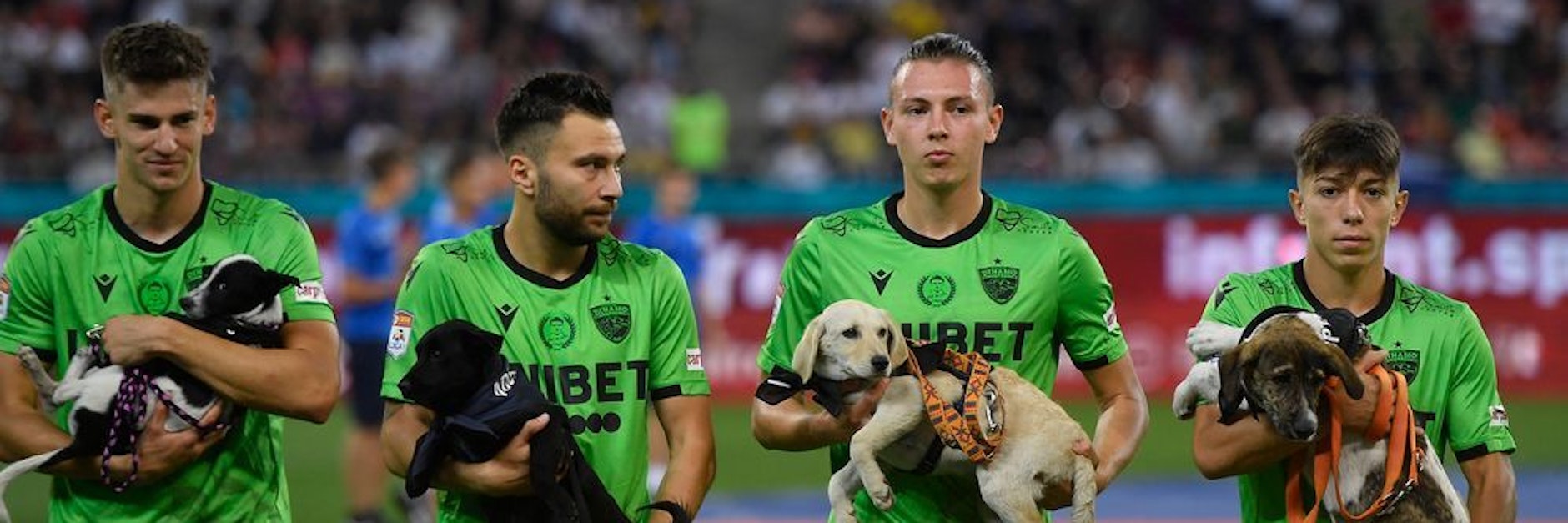 Neues Herrchen oder Frauchen gesucht. Die Spieler von Dinamo Bukarest präsentieren die Straßenhunde beim Einlaufen.