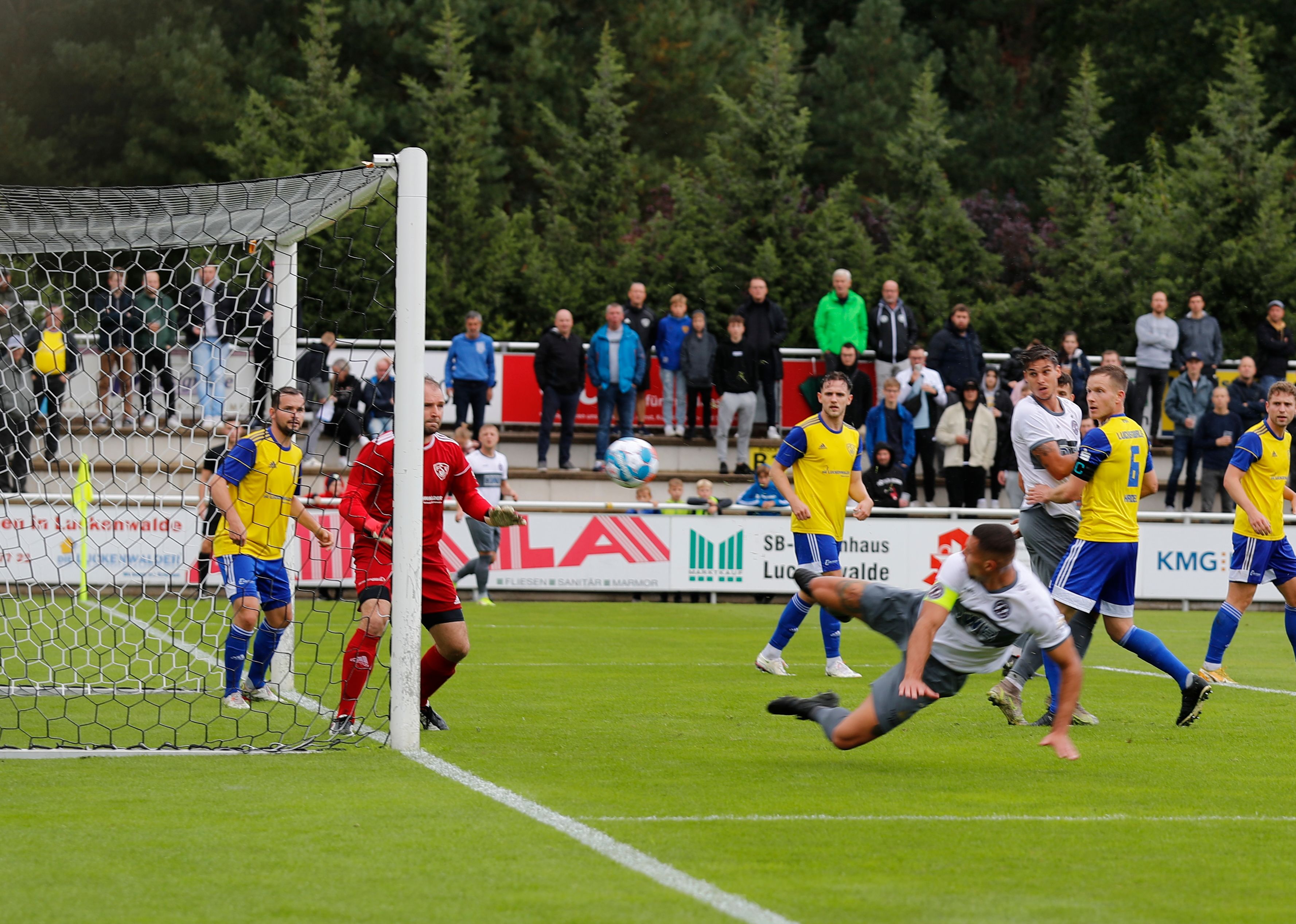 Warum BFC-Kapitän Andreas Pollasch überhaupt bei den Dynamos landete ...