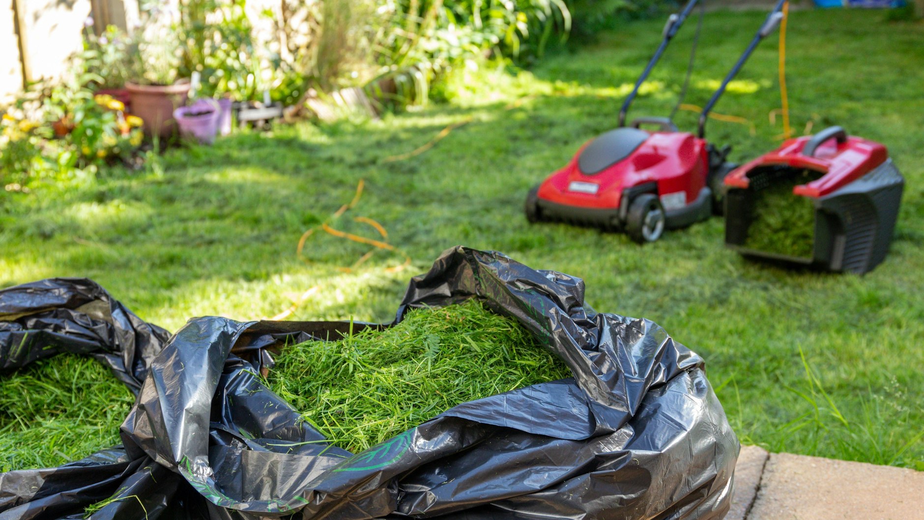 Den Rasenschnitt sollte man nicht direkt auf den Kompost geben, weil er schnell schimmelt. Besser: In dünnen Schichten verteilen.