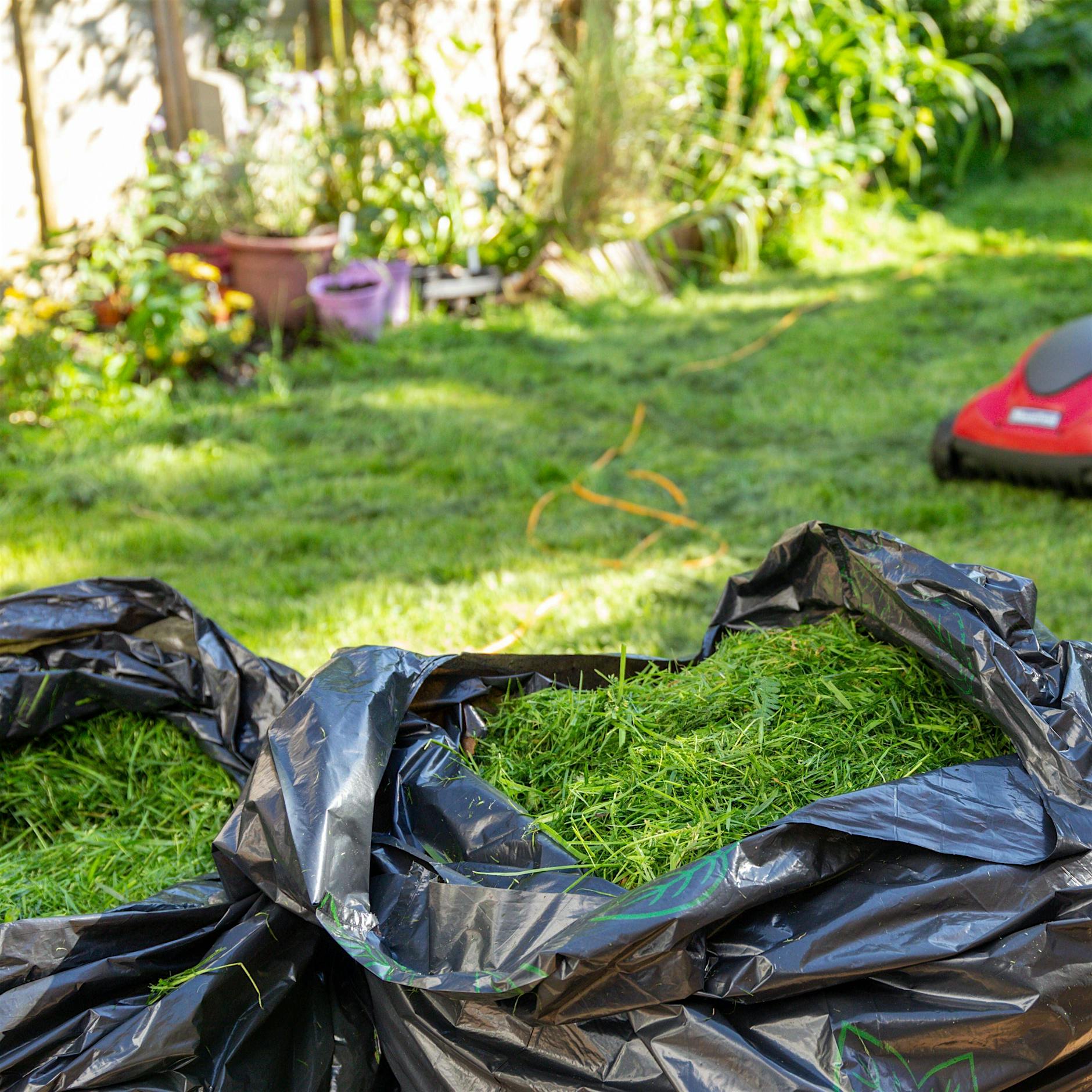Richtig Gärtnern: Warum Sie sich jetzt um Ihren Rasen kümmern sollten