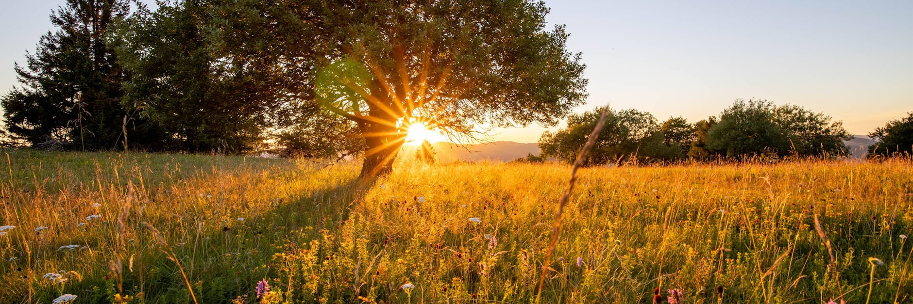 Voraussichtlich nochmal Sommerwetter am Wochenende.