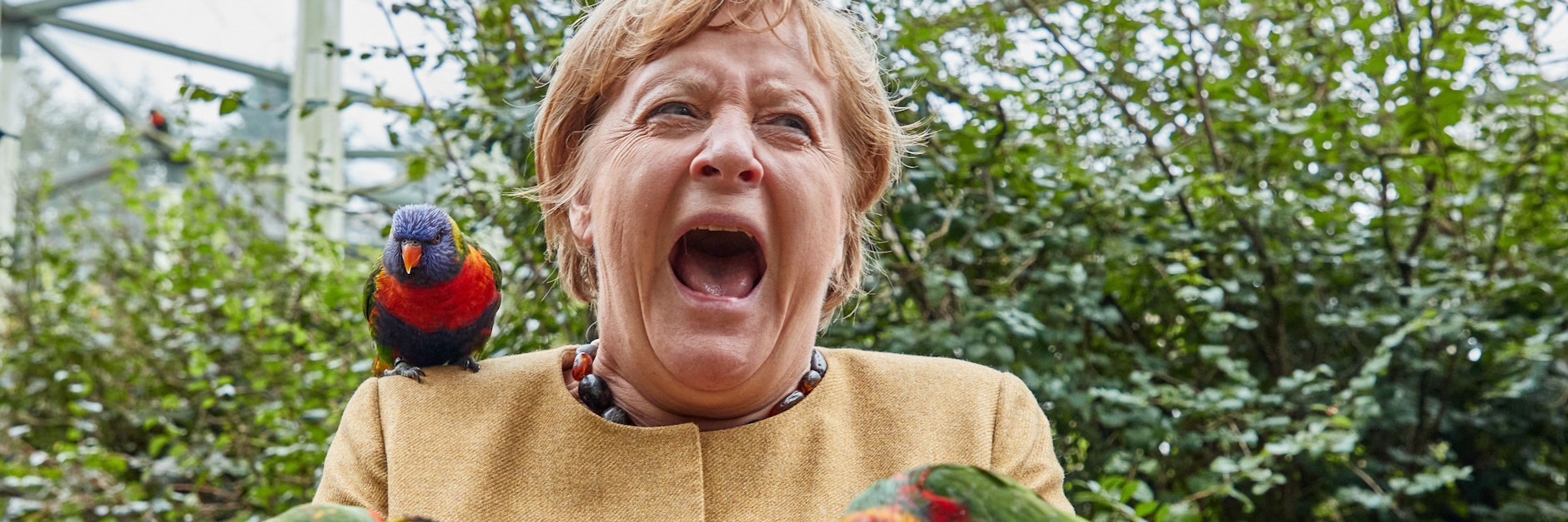 Bundeskanzlerin Angela Merkel (CDU) fütterte australische Loris im Vogelpark Marlow und wurde dabei gebissen.