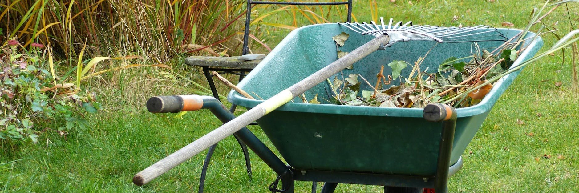Gartenarbeiten im Herbst: Jetzt sollten Bäume, Stauden und Sträucher in die Erde.