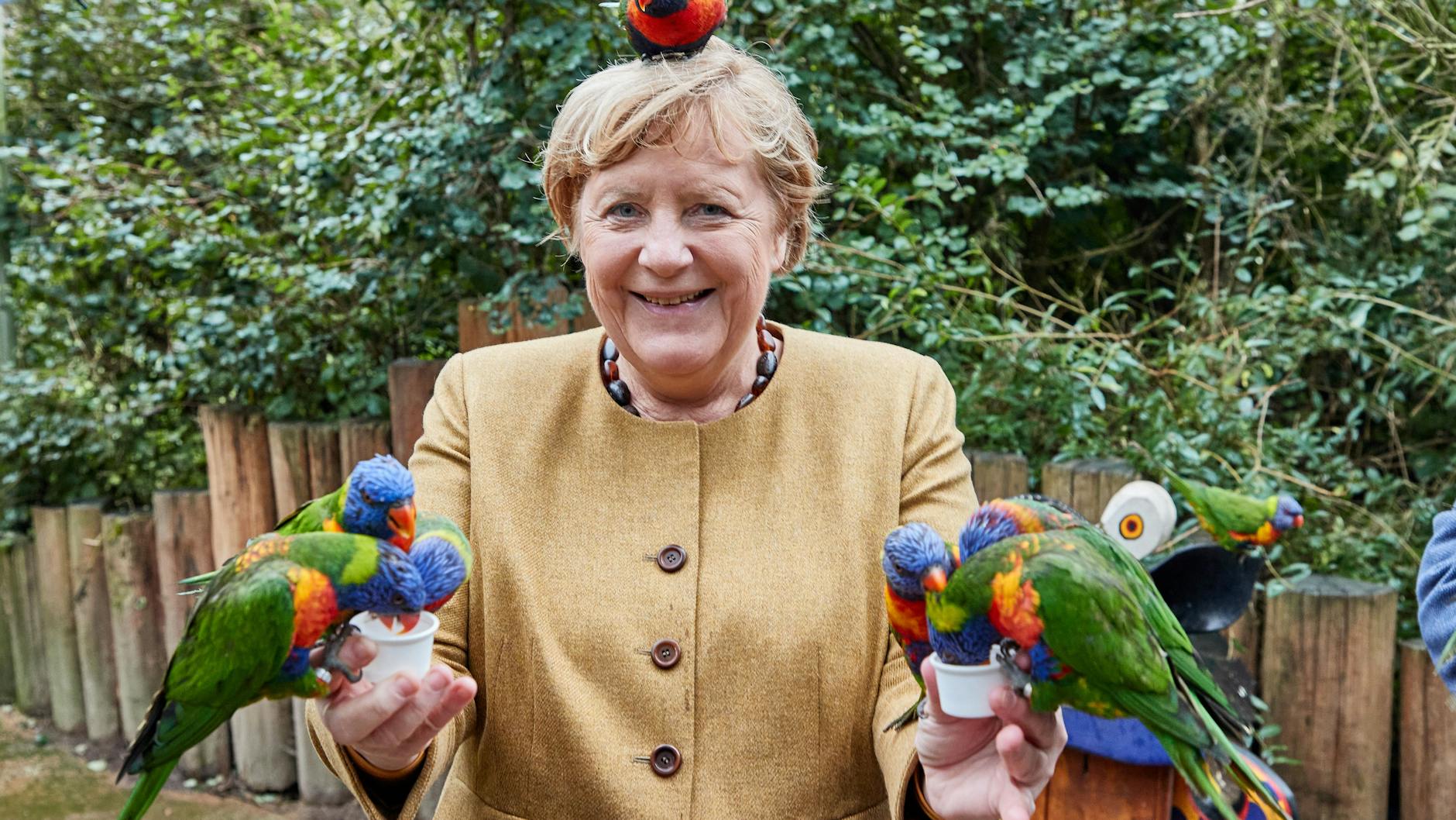 Da war die Welt noch in Ordnung: Friedlich lassen sich die australischen Loris im Vogelpark Marlow (Mecklenburg-Vorpommern) von Angela Merkel (CDU) füttern.