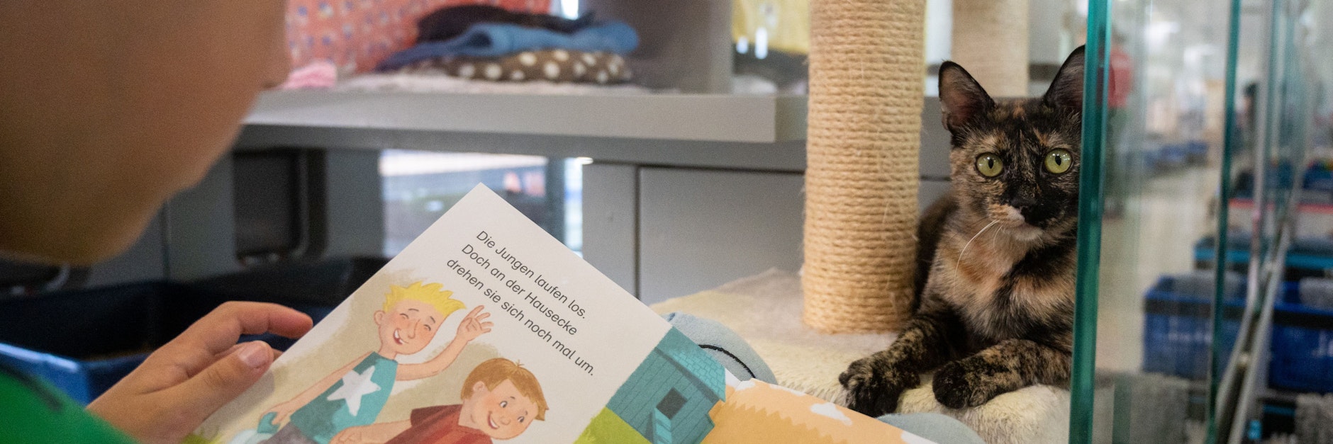 Die Katze Urania sitzt in ihrer Box im Tierheim Berlin, während Finn aus einem Buch vorliest. Das Projekt „Kinder lesen Katzen vor“ bietet Lesenachhilfe für Schüler und ist für den deutschen Engagementpreis nominiert.