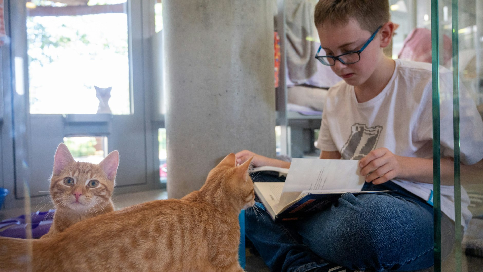 Archibald und Theobald sitzen in ihrer Box im Tierheim Berlin, während Jan aus einem Buch vorliest.&nbsp;