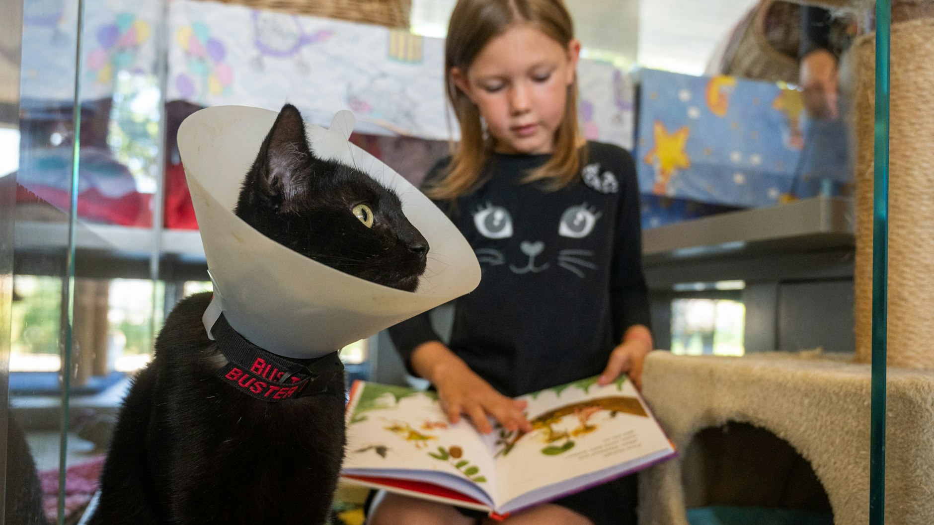 Der Kater Horst sitzt in seiner Box im Tierheim Berlin, während Fiona aus einem Buch vorliest.&nbsp;
