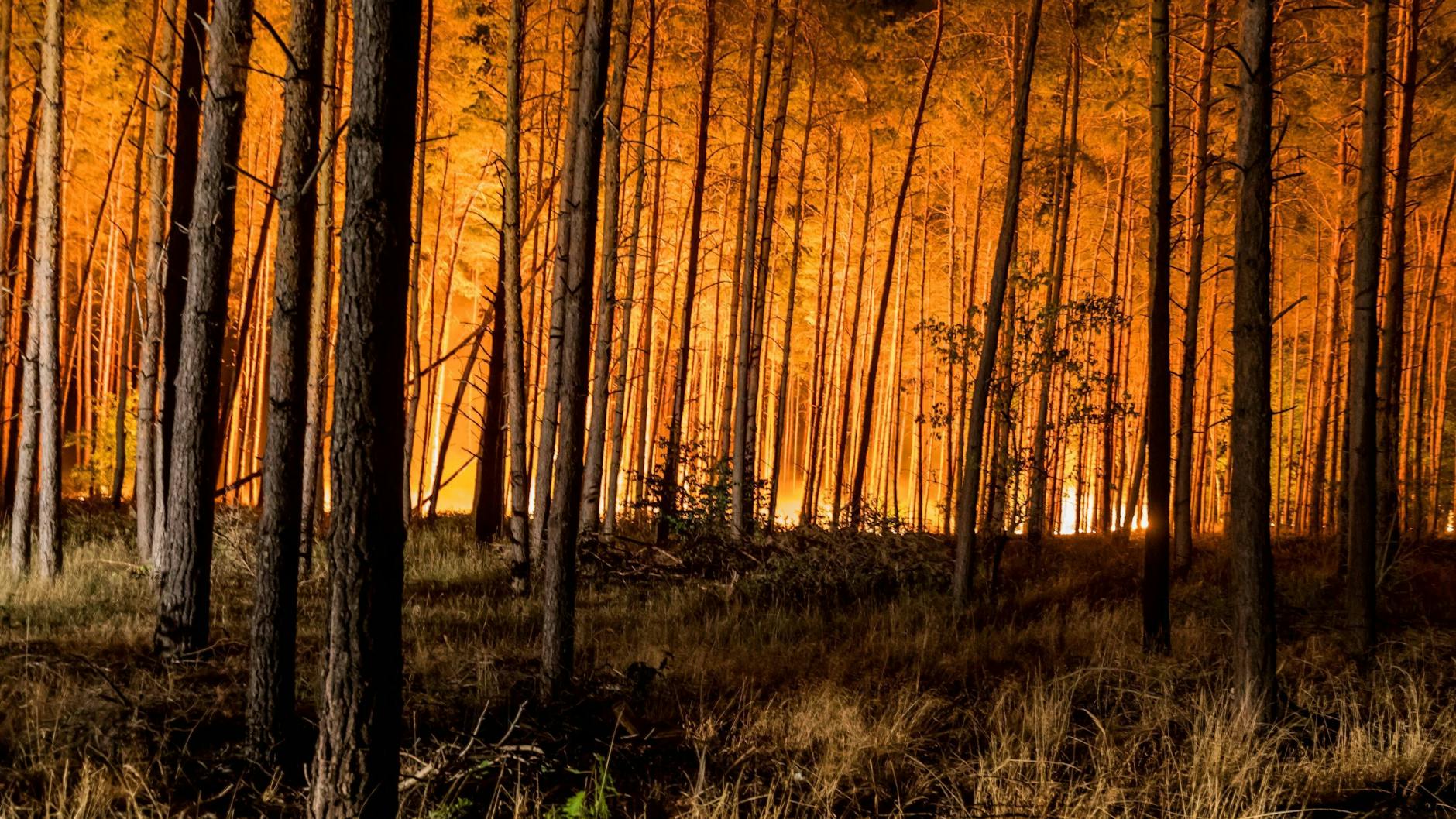 Großbrand in einem Wald in Brandenburg zwischen den OrtschaftenTreuenbrietzen und Jüterborg im Jahr 2018. Waldbrände könnten in Zukunft häufiger auftreten.