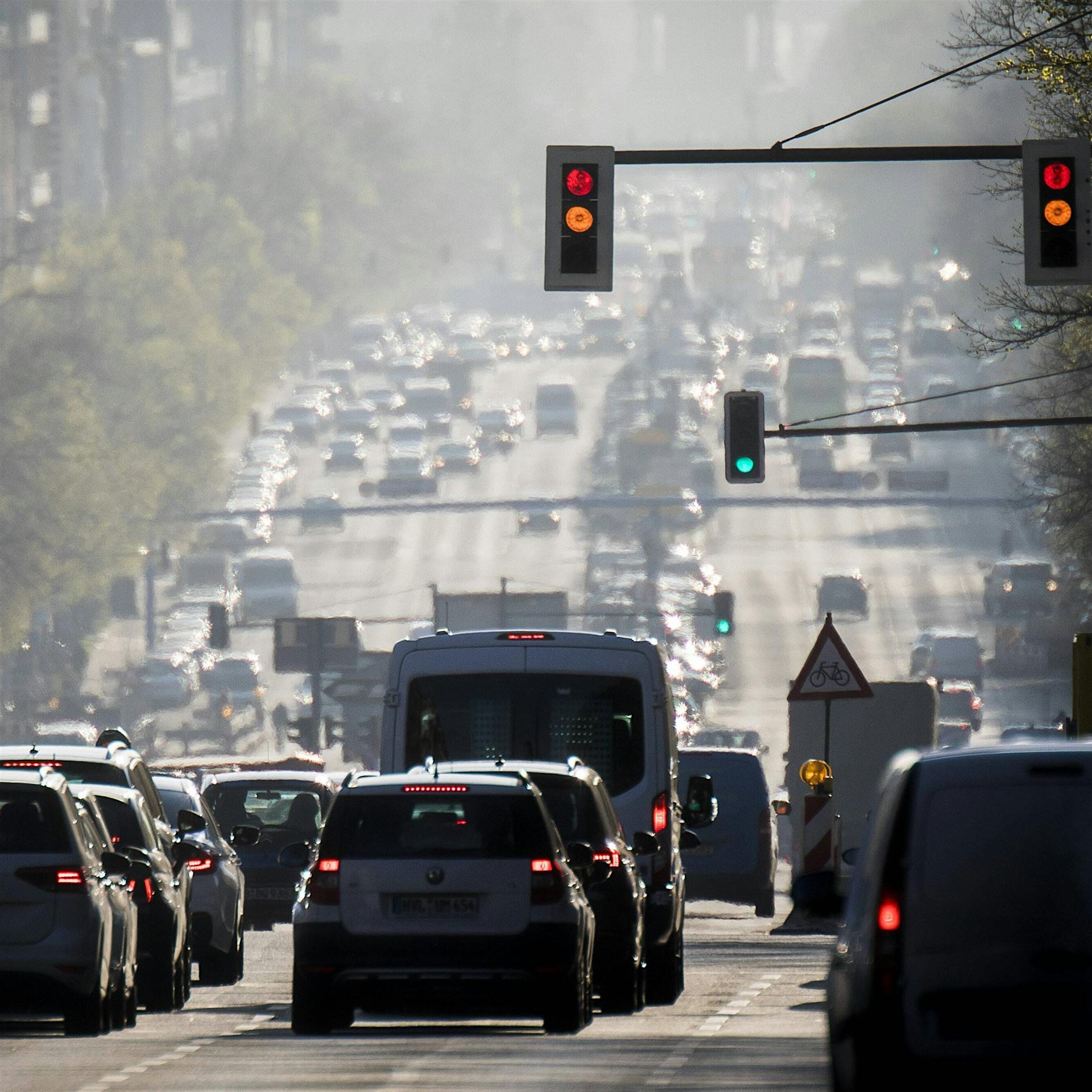 Expertin: „Andere Städte haben Berlin in Sachen Klimaschutz bereits überholt“