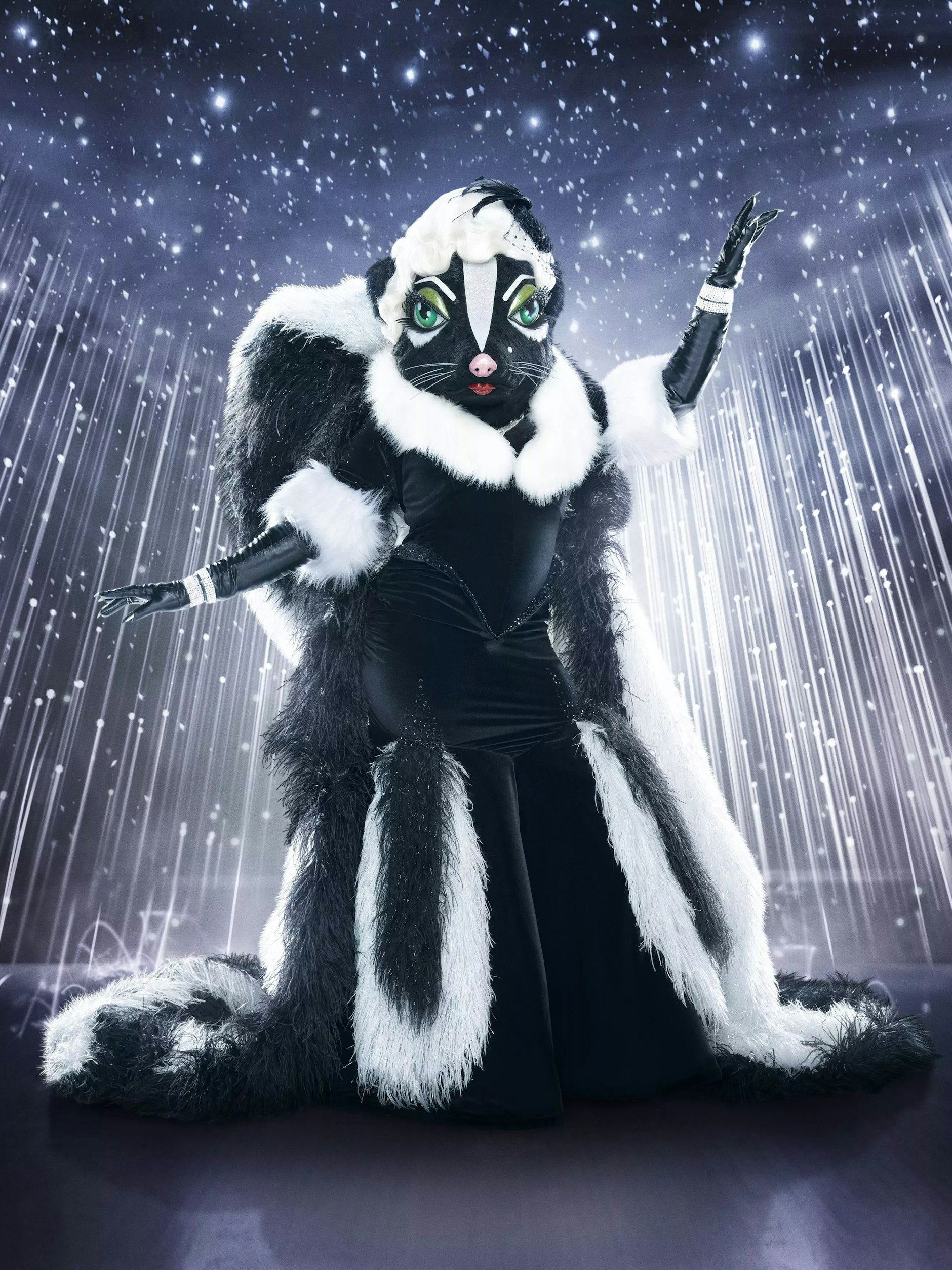 Dieses edle Stinktier ist in Amerika gerade bei The Masked Singer zu sehen.