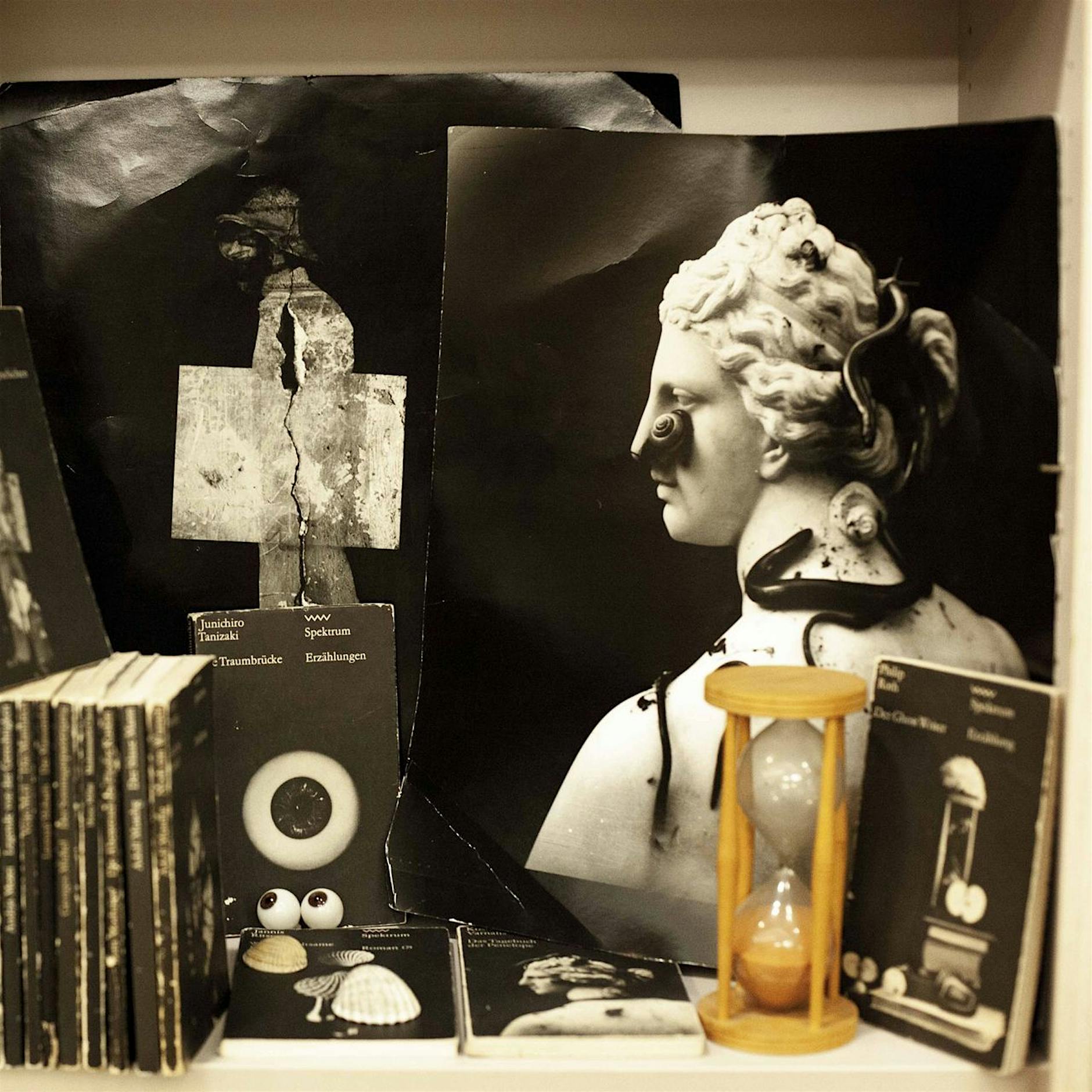 Das Bibliotop: Wie die Zensur ihre eigene Buchwelt hervorbrachte