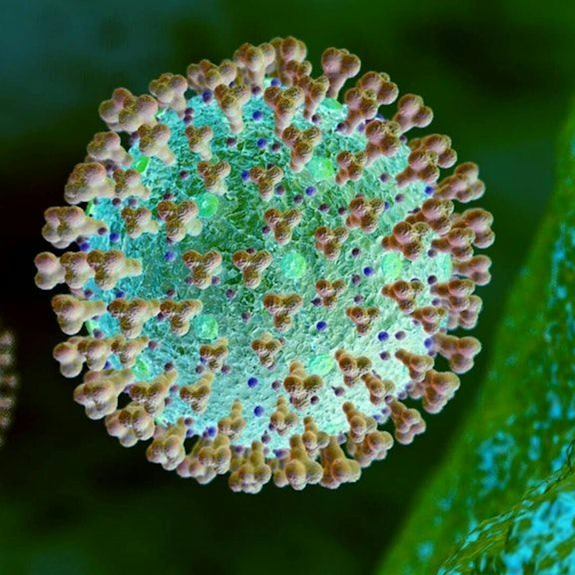 Corona in Berlin: Sechs weitere Tote, 432 Intensivpatienten