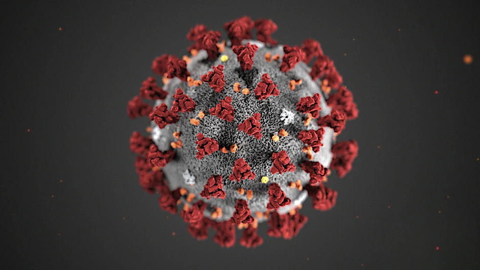 Das Coronavirus.