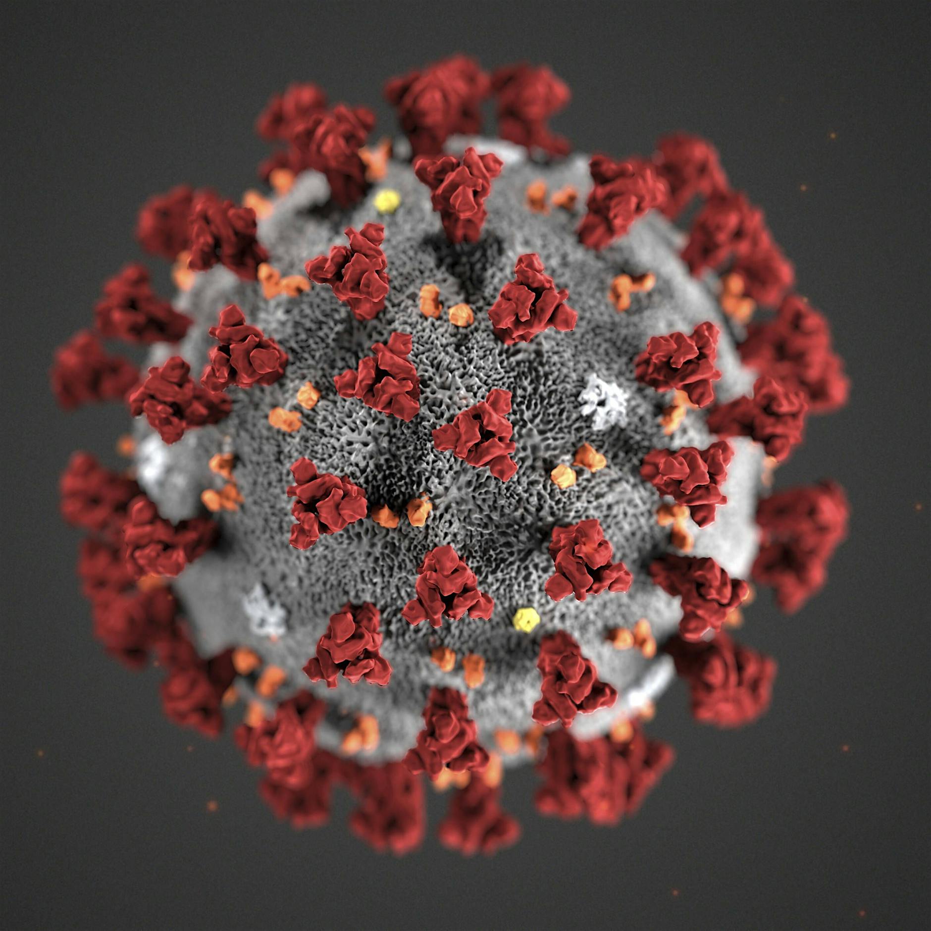 Brandenburg: 903 Neuinfektionen, 30 weitere Todesfälle