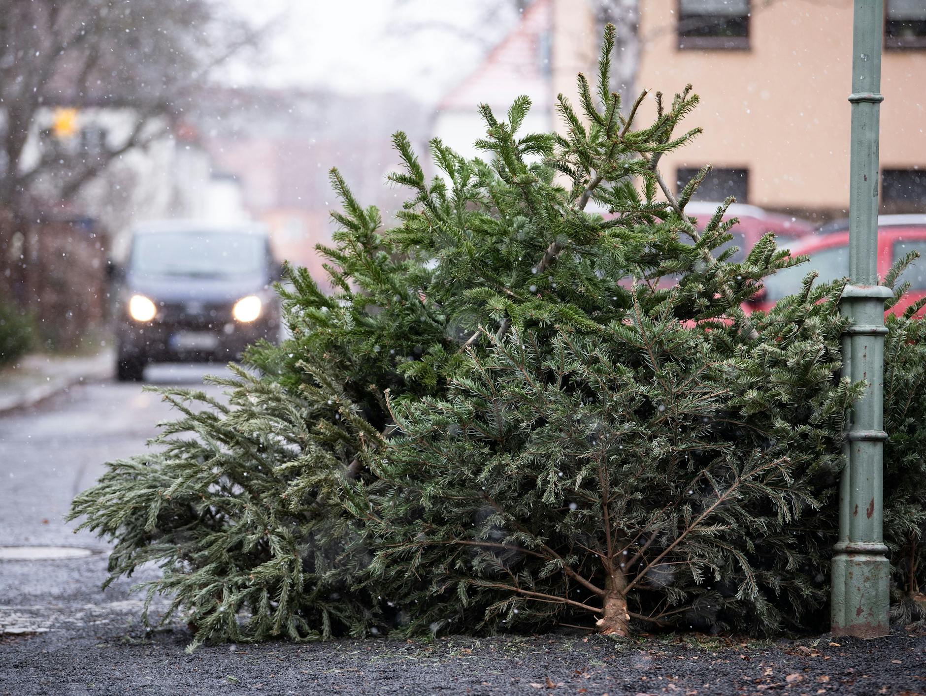 Abgelegte Weihnachtsbäume an einer Laterne in Tempelhof. 