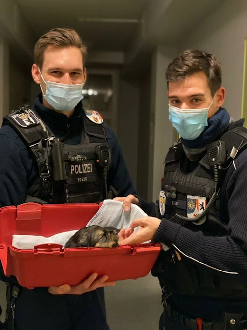 Berliner Polizei rettet Hundewelpen